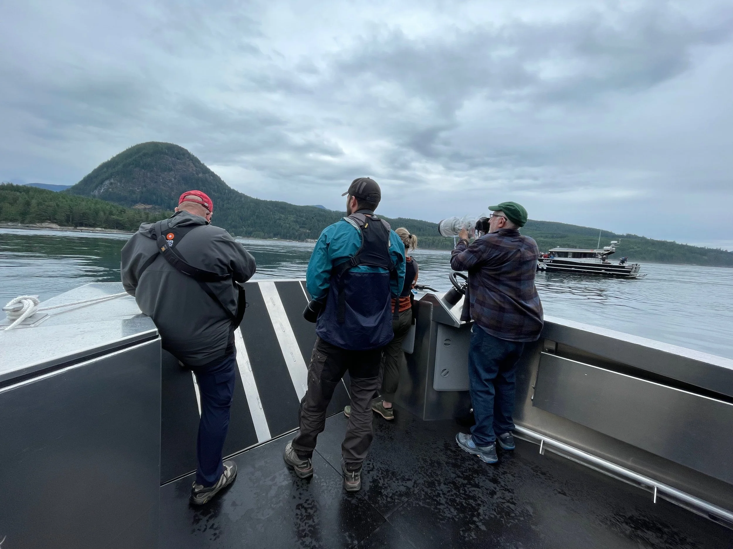 Shooting from the boat at Travi in the Bush Bald Eagle workshop in Campbell River, BC.