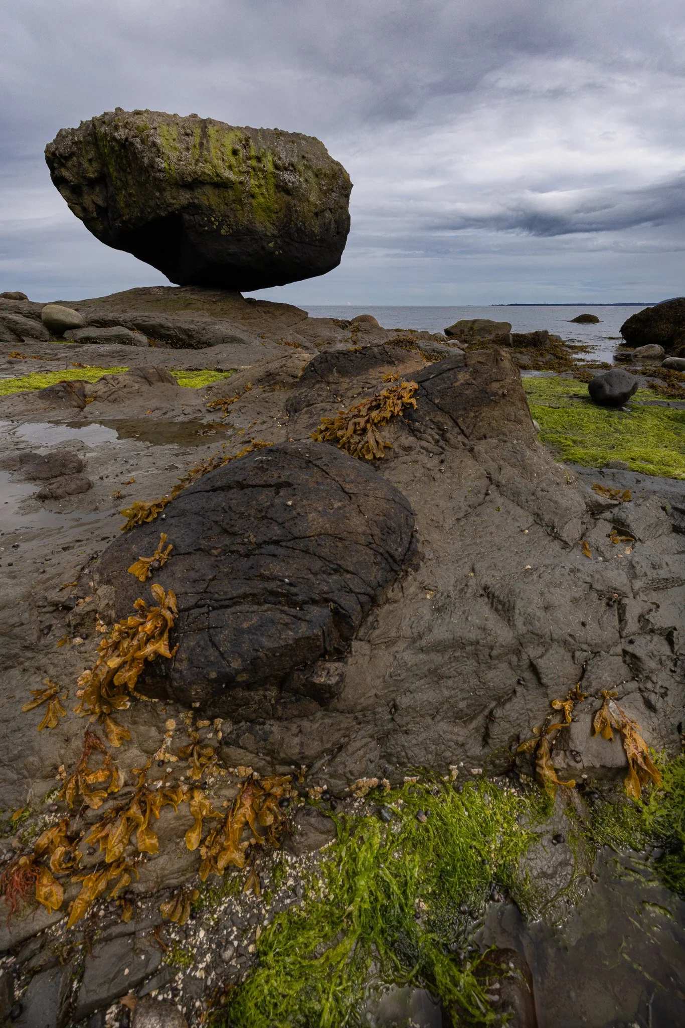 Haida Gwaii landscape.