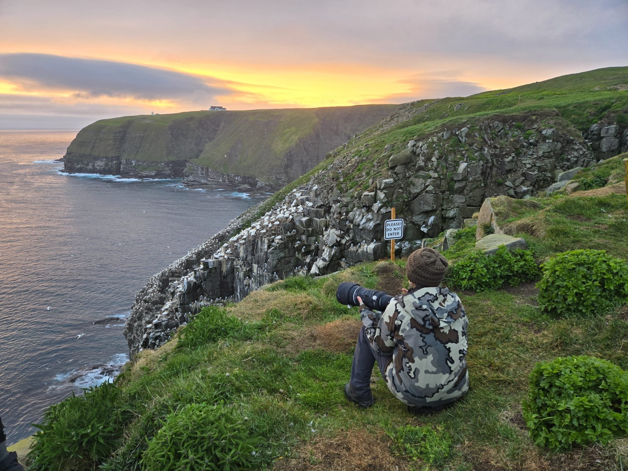 The few moments at the gannet colony when we got a glimpse of the setting sun.