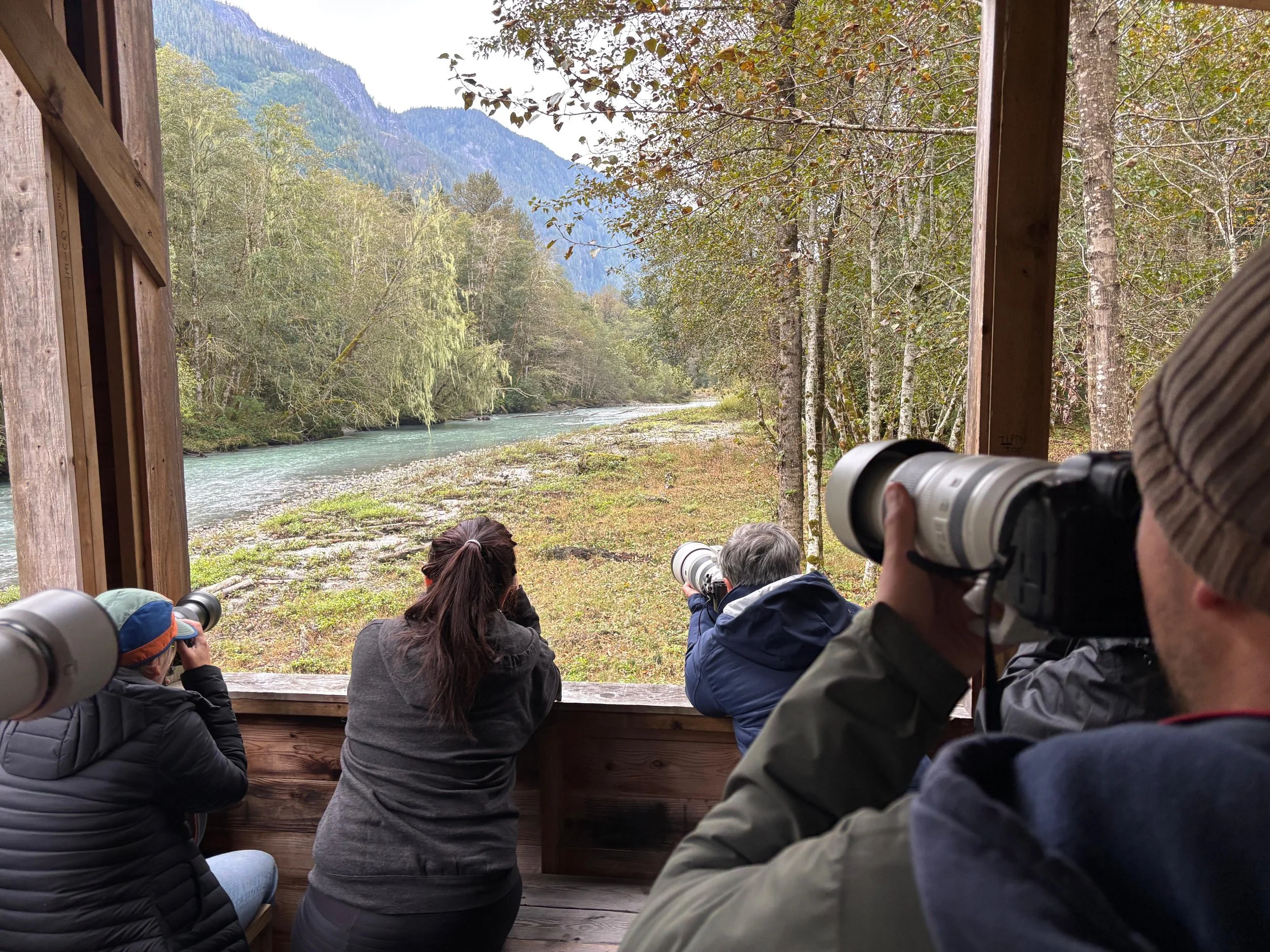Grizzly Bear viewing tower at Klahoose Wilderness Resort.