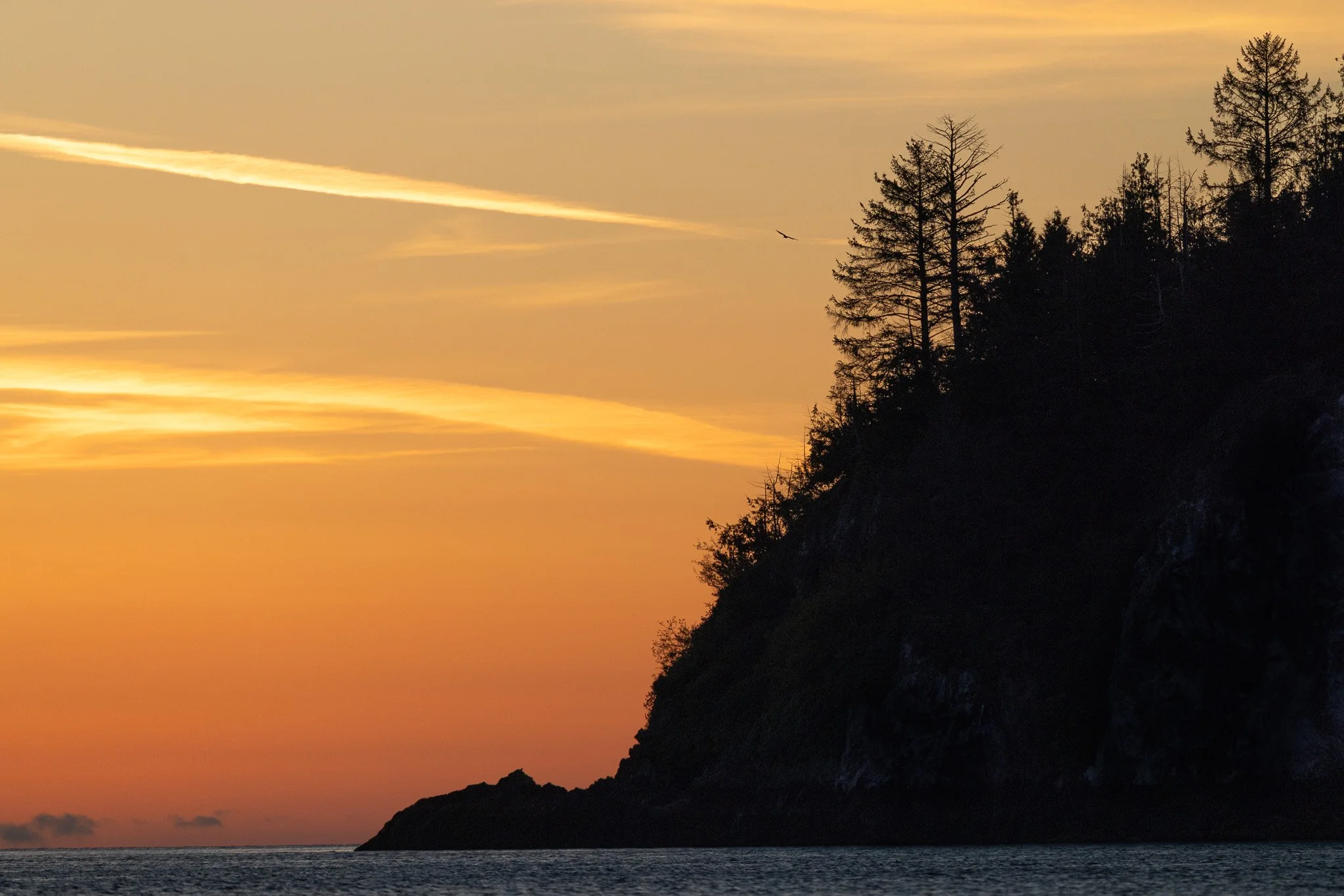 Torrens Island, Haida Gwaii at sunrise.