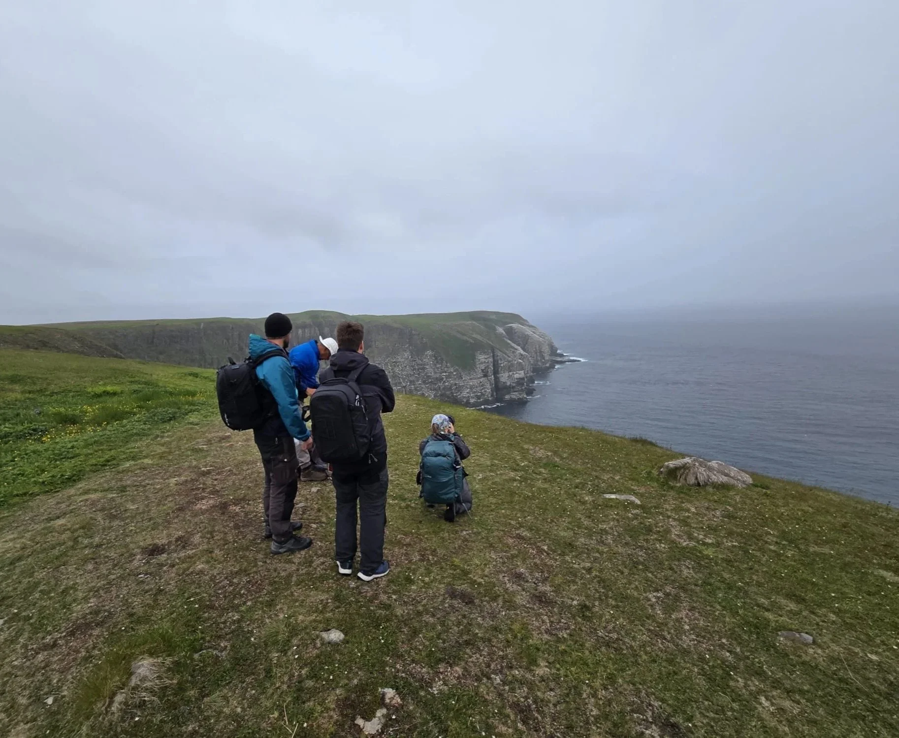 Group shot at newfoundland gannet colony.