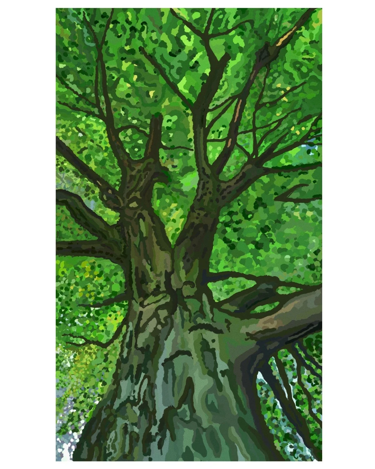 tree illustration fill color.JPG