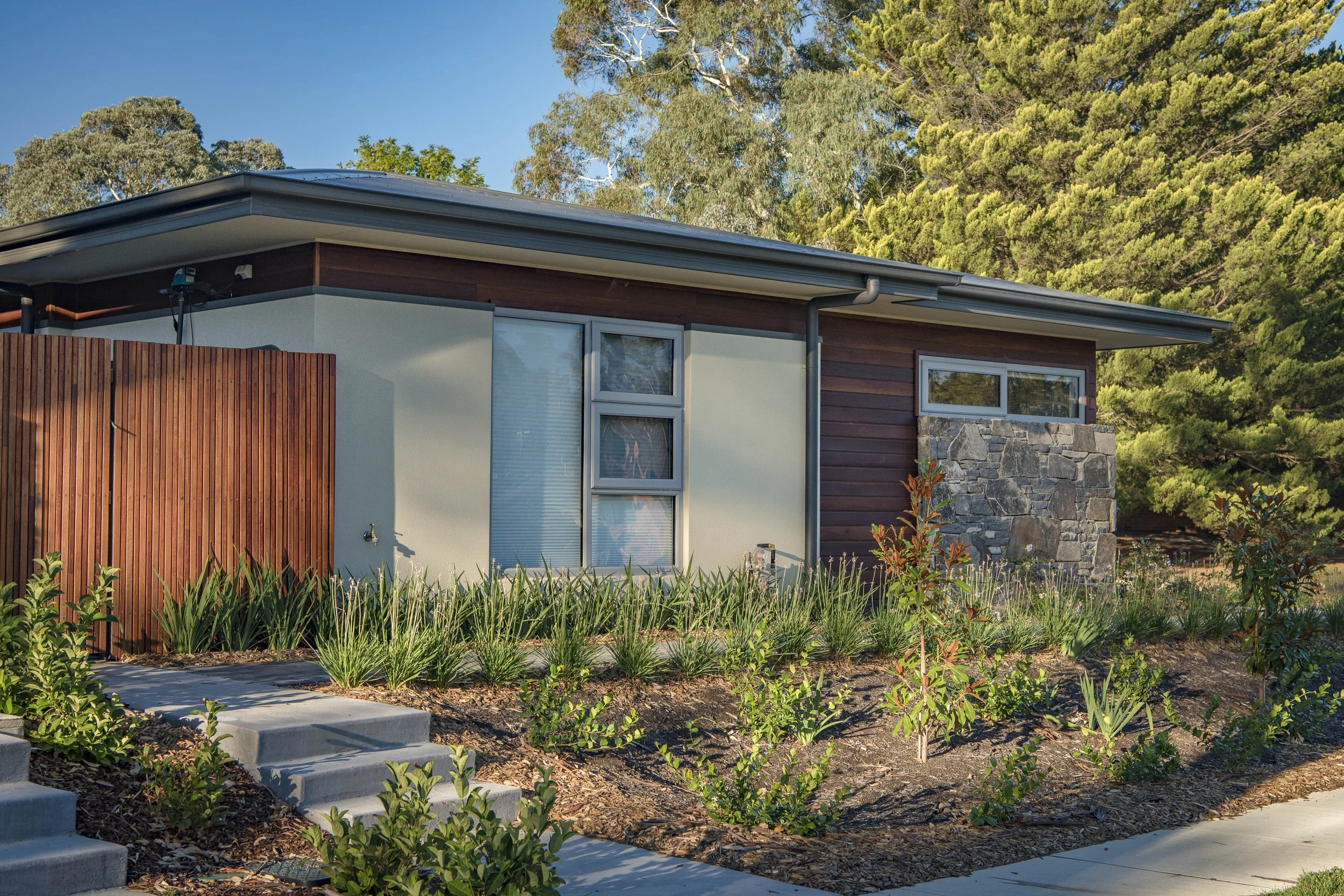 Modern house with large windows, stone accent wall, and wood siding in a garden with plants and shrubs, surrounded by tall trees under a clear blue sky.