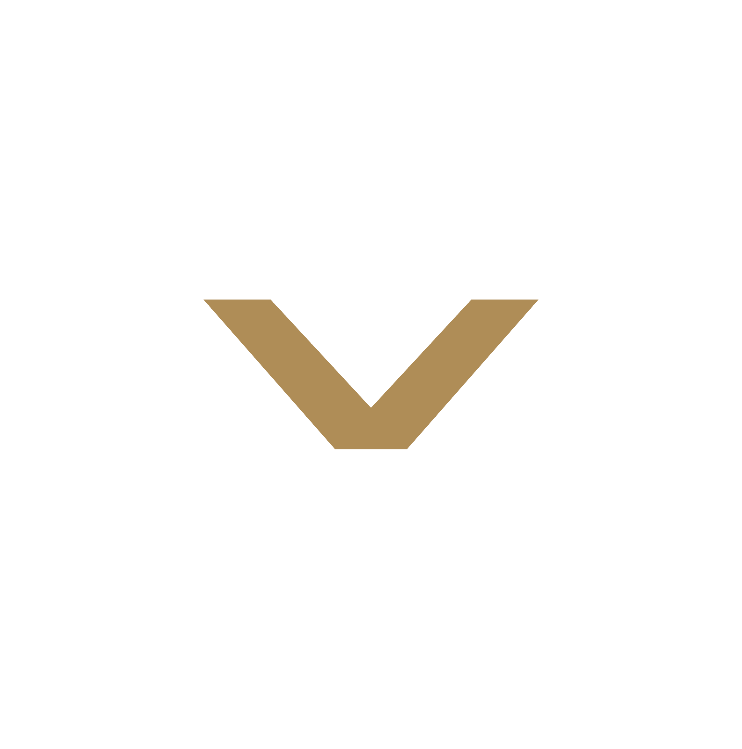 A black background with a geometric pattern of white V shapes and a central V in gold.