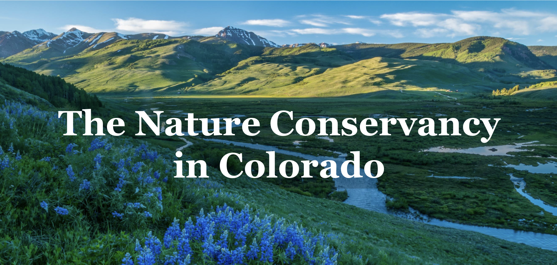 Organizational 101 presentation created for executive leadership.