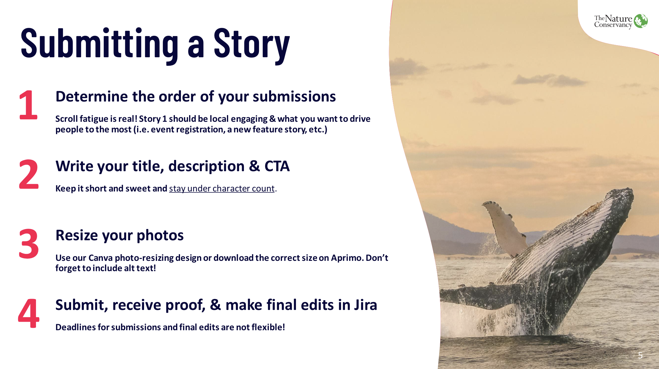 Internal email system training for all staff.