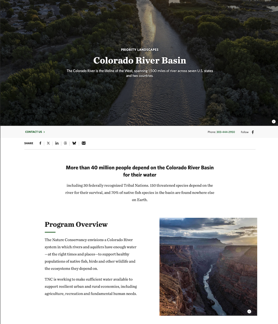 Web Design + Production