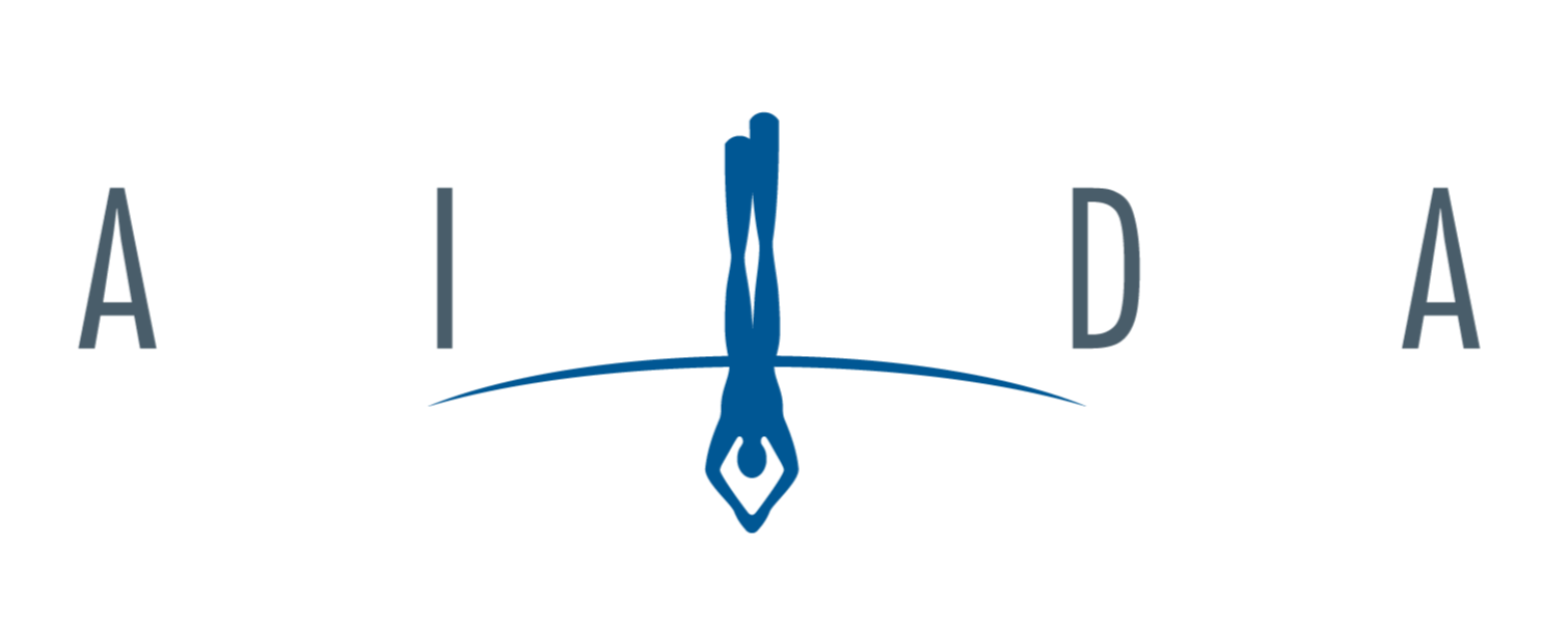 Logo with the word AIDA and a blue stylized human figure with arms pointing down, intersecting the letter I, and a horizontal line beneath the figure.
