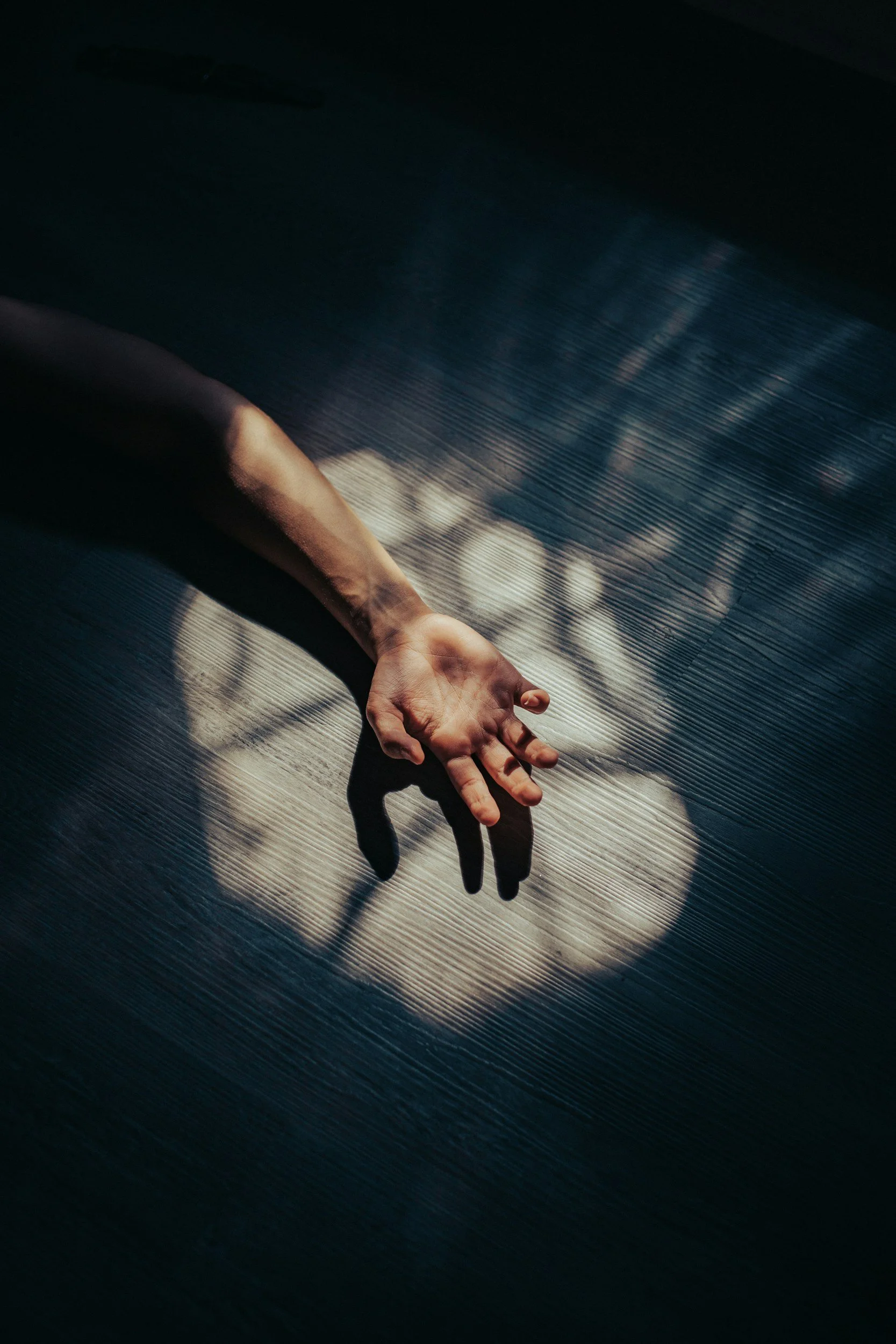 The Abuse Nobody Talks About — Protecting Your Aging Parent From Elder Abuse, Neglect, and Financial Exploitation