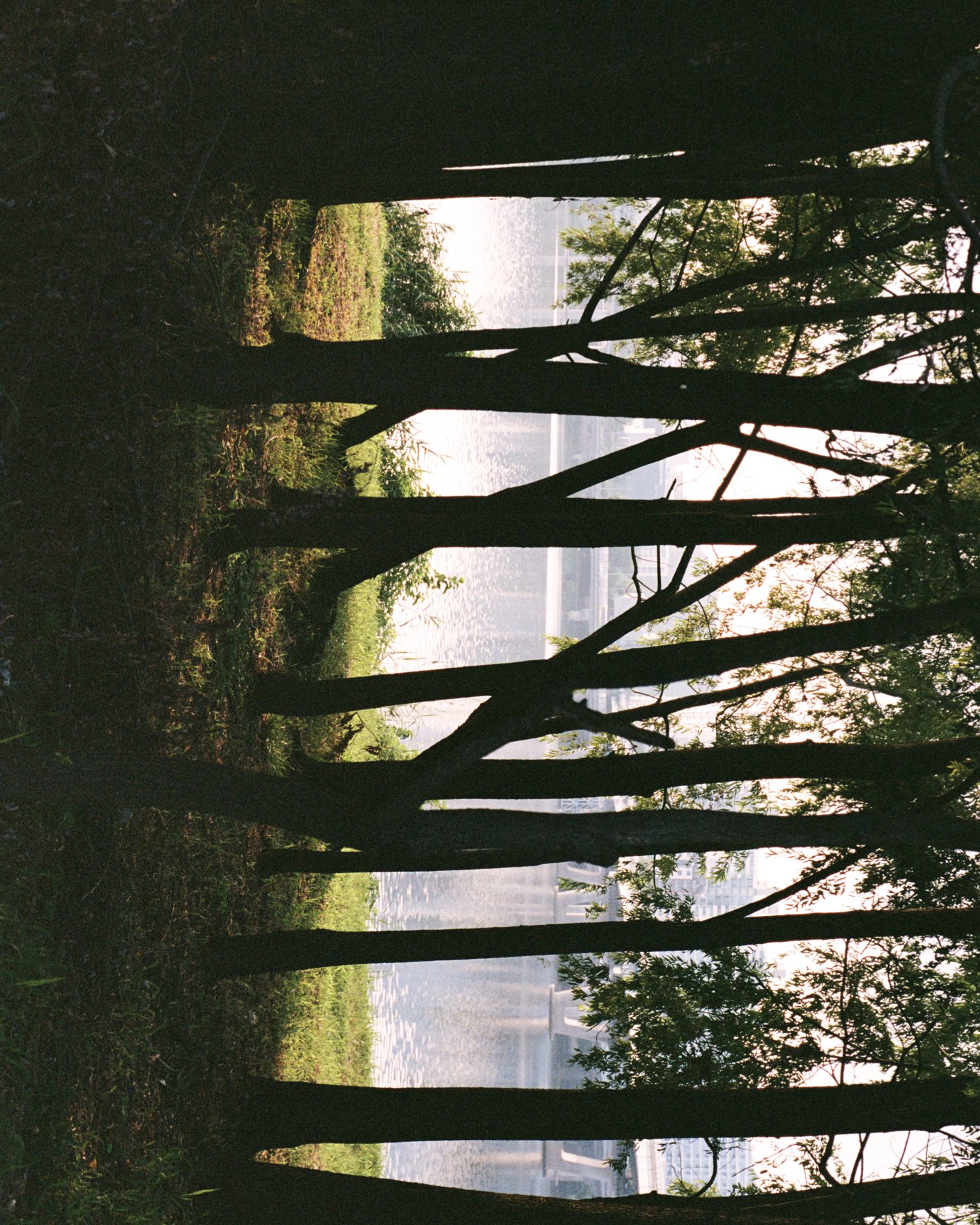 Still Hours 4x5 img.001.jpeg