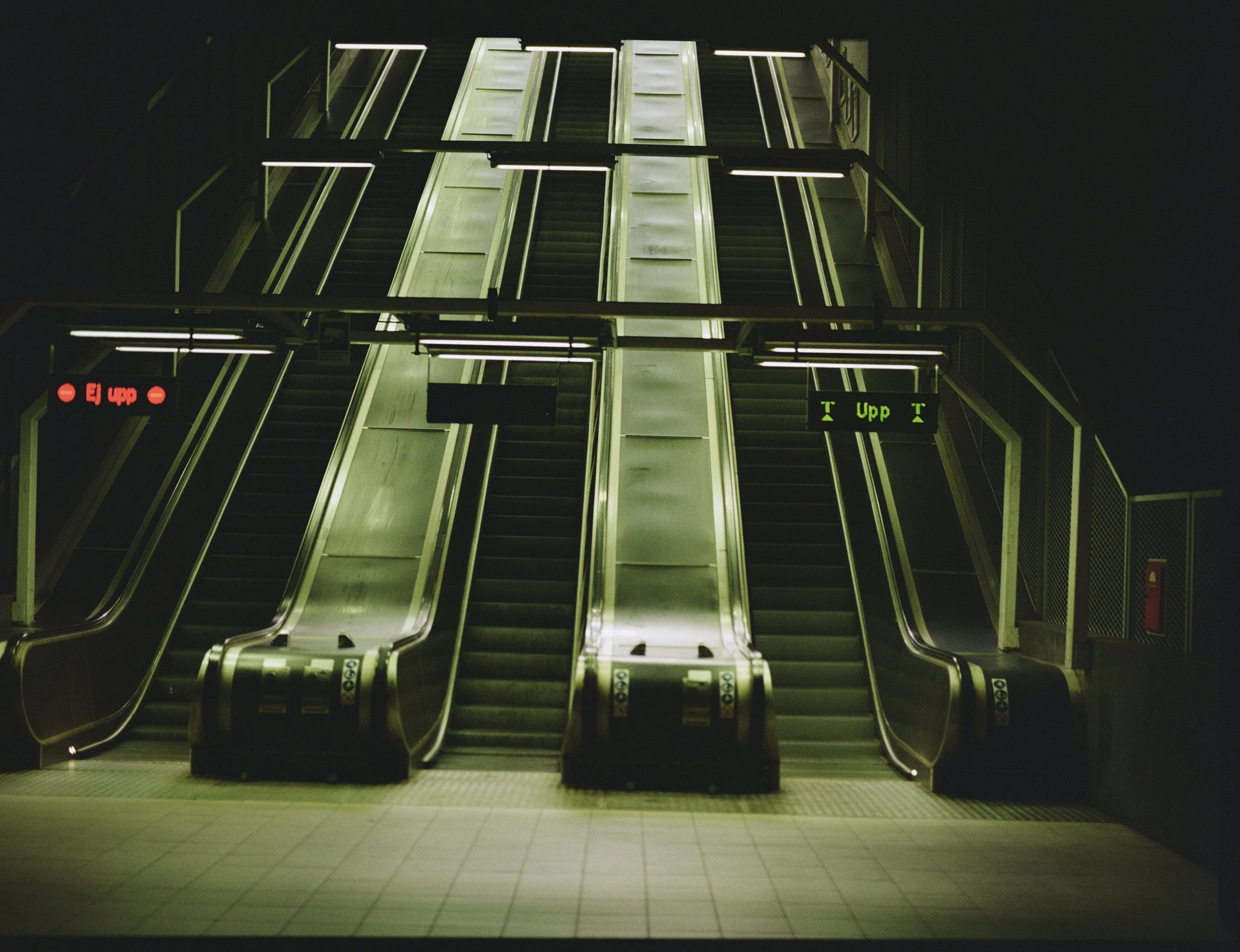 the platform 8.jpg