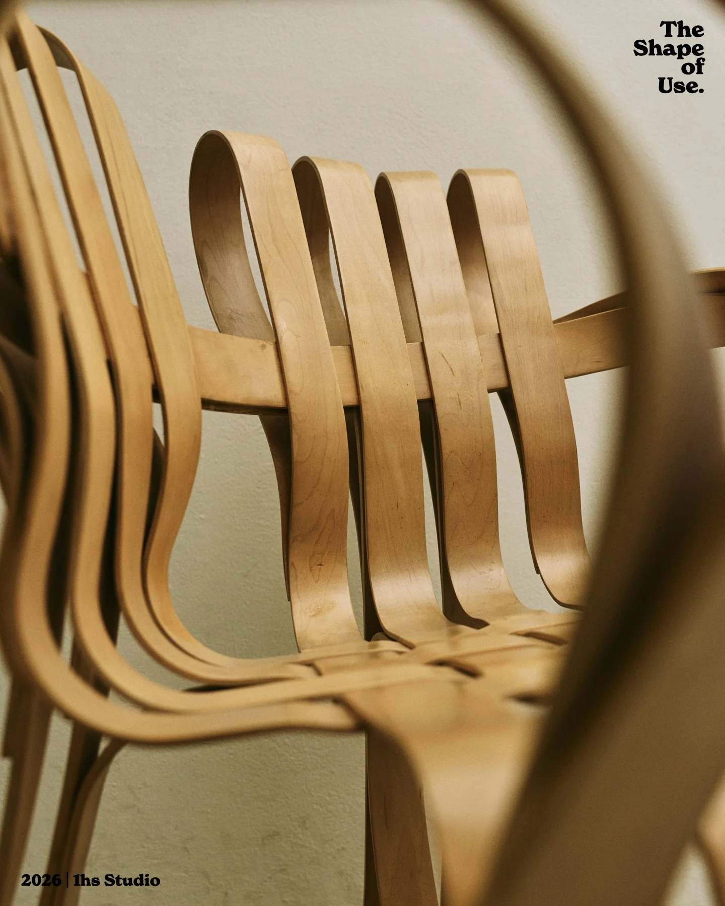 The Shape of Use 4x5.003.jpeg