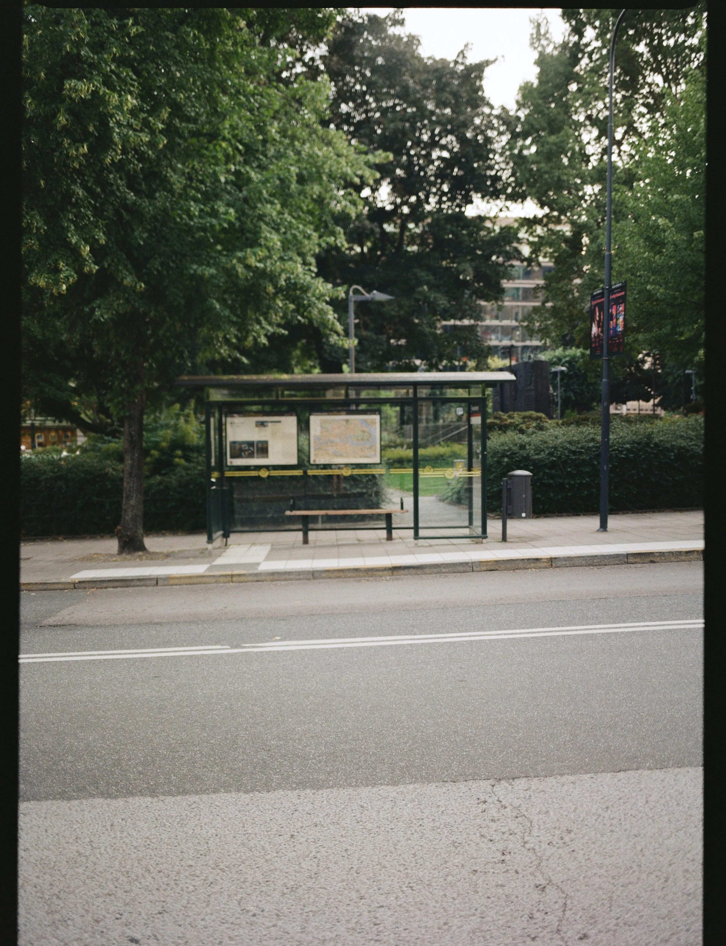 the platform 3.jpg