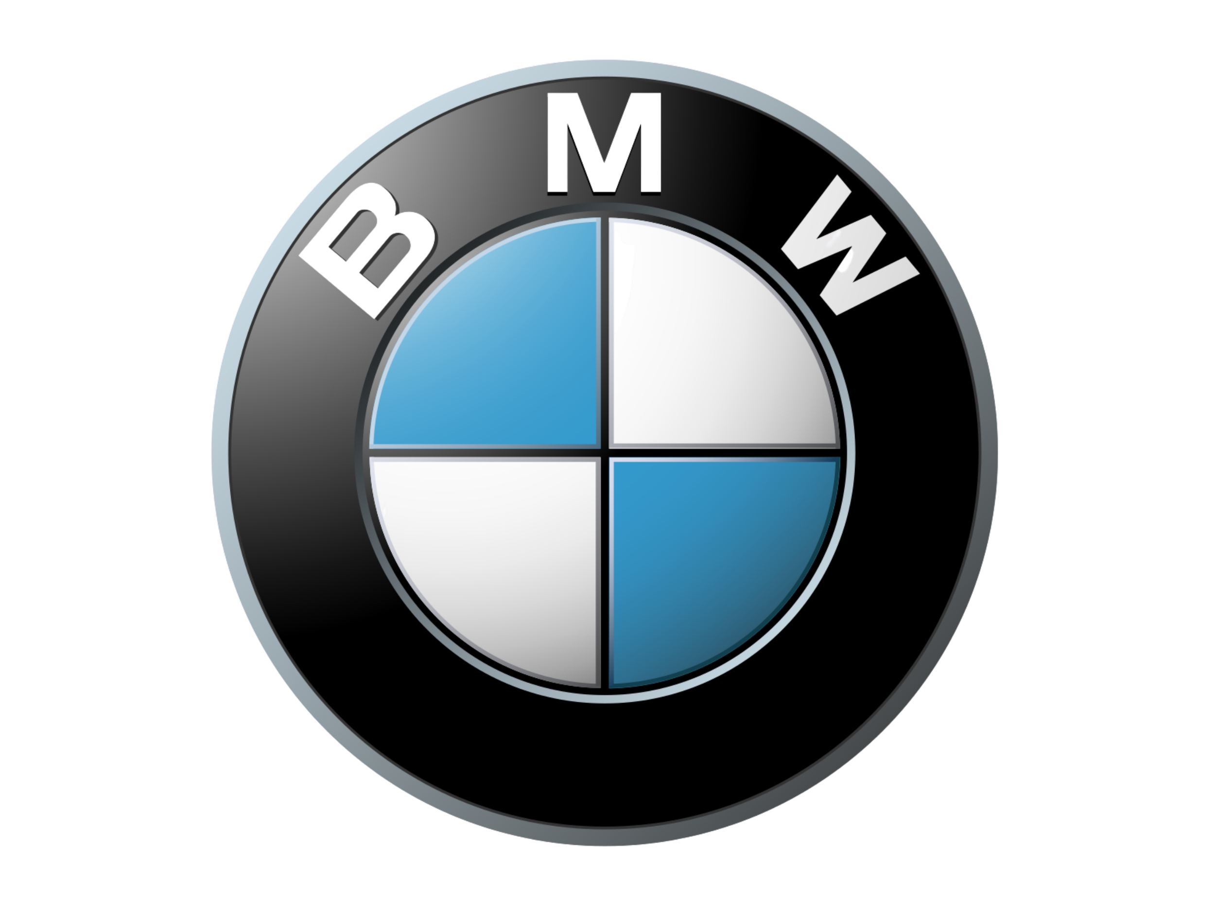 BMW logo featuring a roundel with blue and white quadrants and black outer ring with 'BMW' lettering.