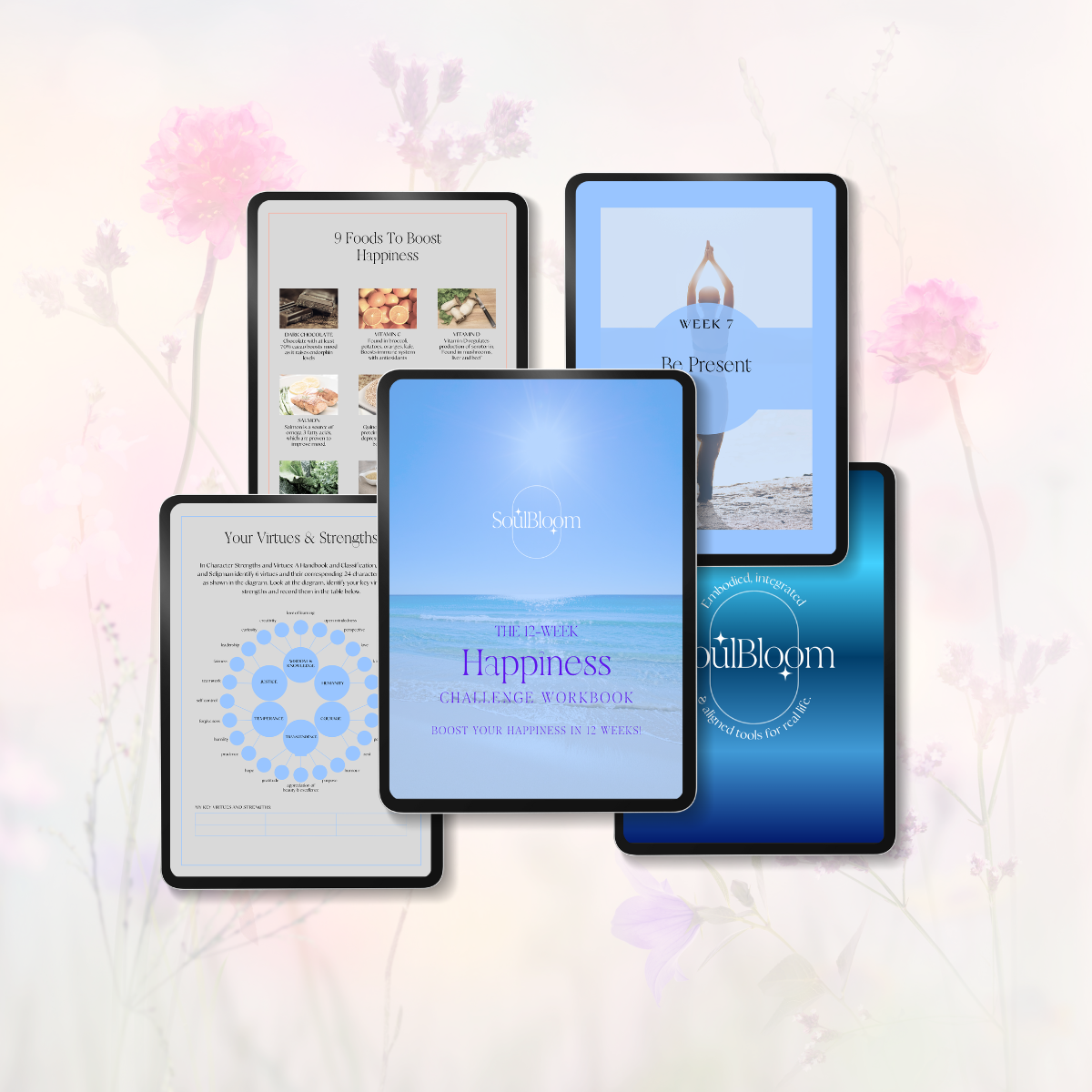 The 12-Week Happiness Challenge Workbook