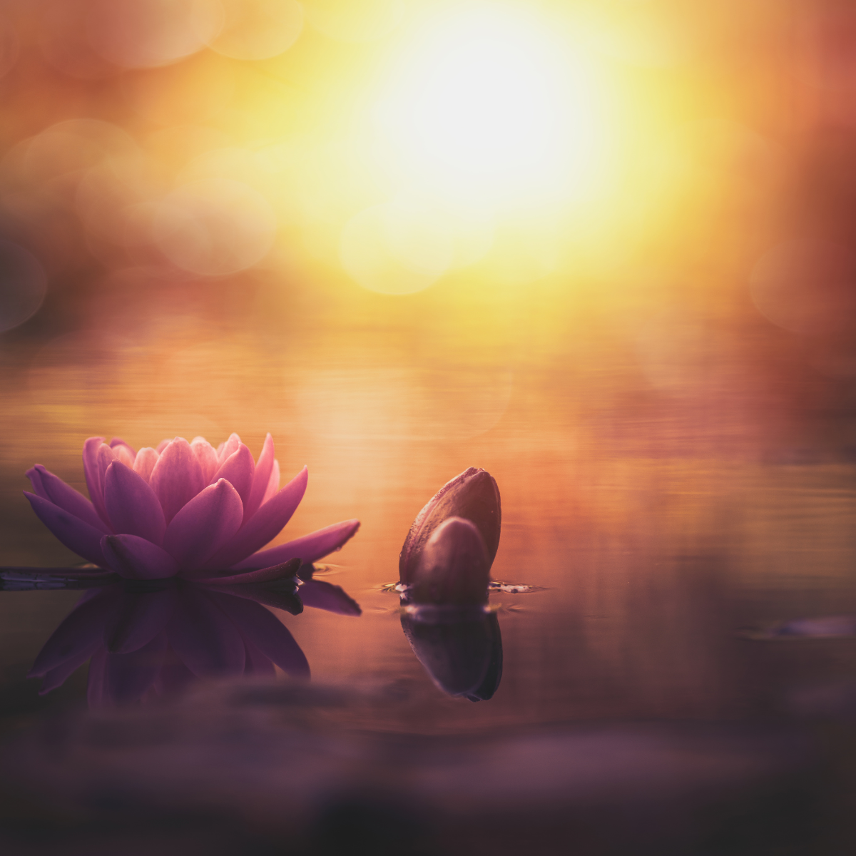 The Cord-Cutting & Letting Go Guided Meditation