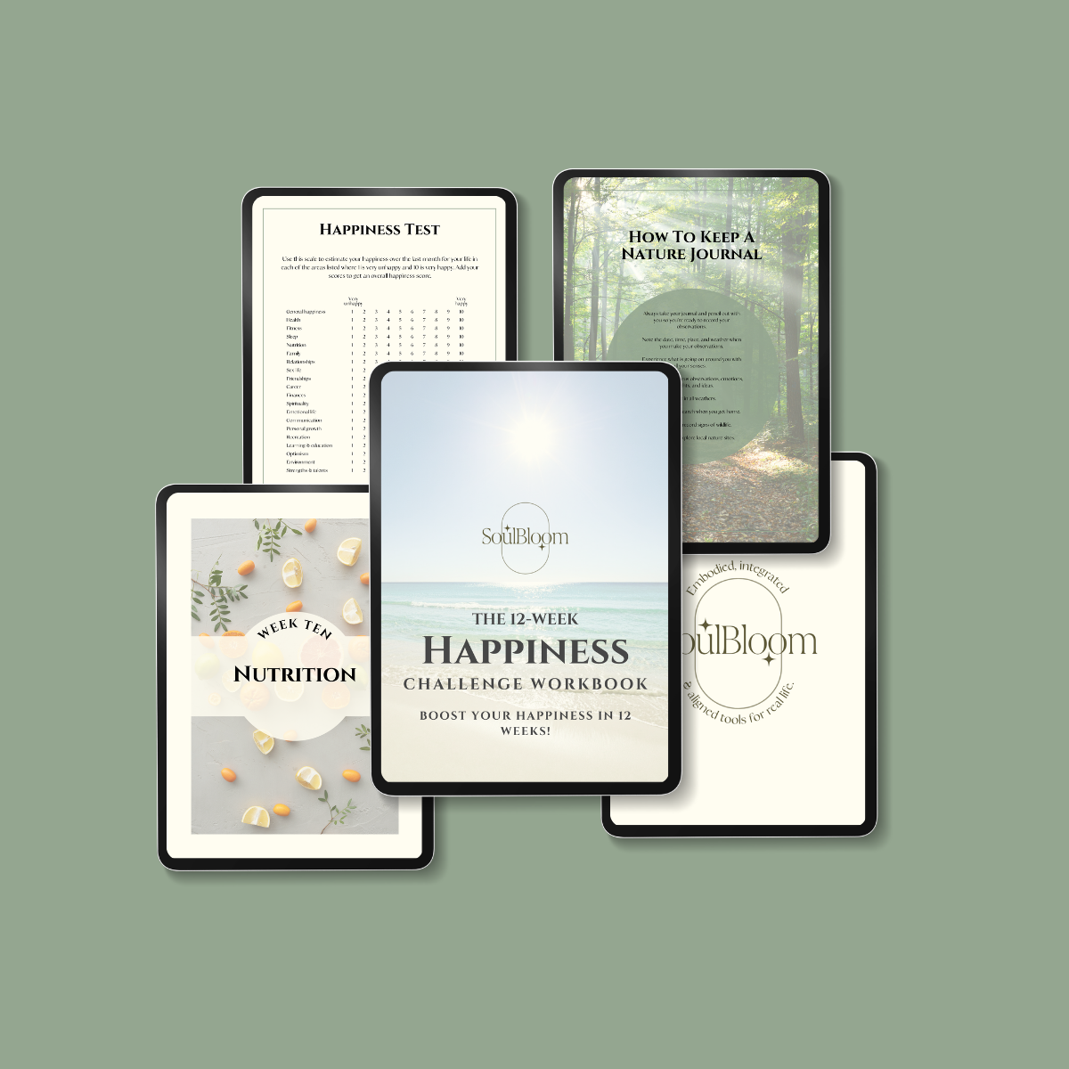 The 12-Week Happiness Challenge Workbook