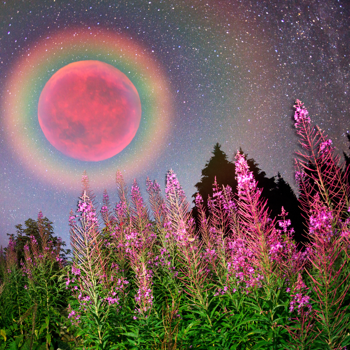 The Meet Your Highest Self & Find The Love Within Guided Meditation