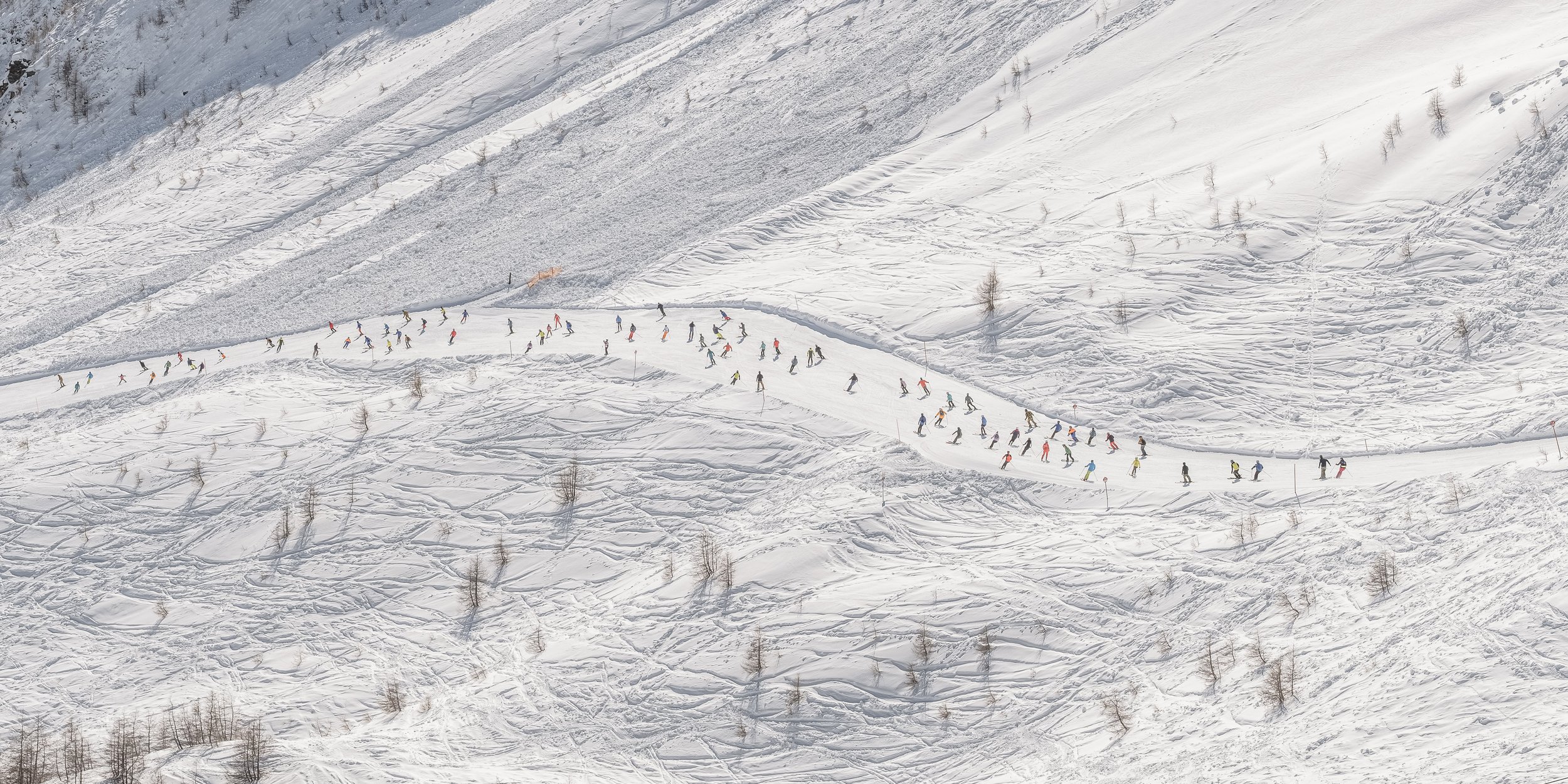 Viele Skifahrer in bunter Kleidung auf verschneiter Piste in den Bergen, zum Teil hinter Bäumen