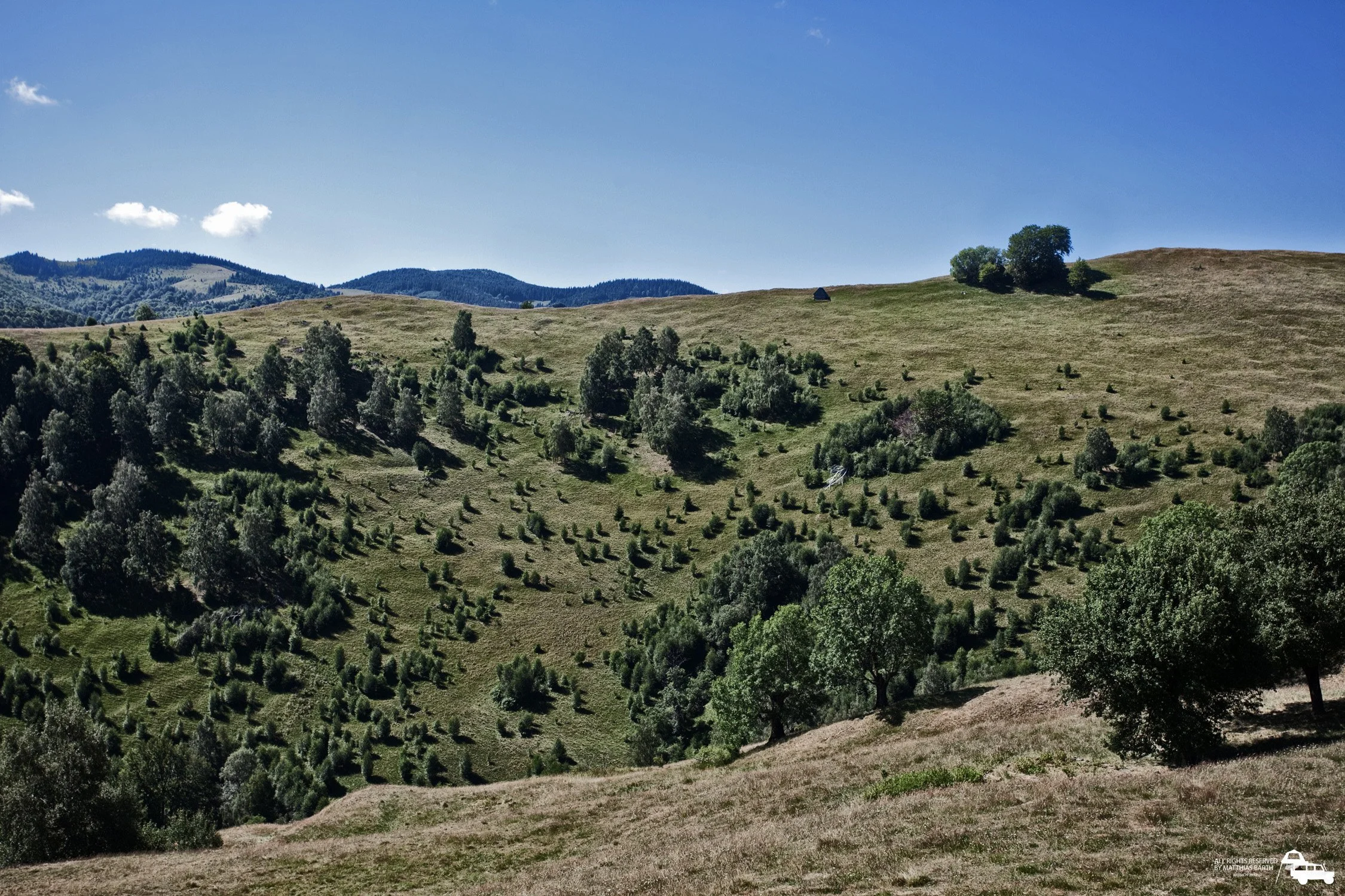 Hügel mit grasbewachsenen Flächen und vereinzelten Bäumen, im Hintergrund bewaldete Berge, blauer Himmel mit wenigen Wolken.