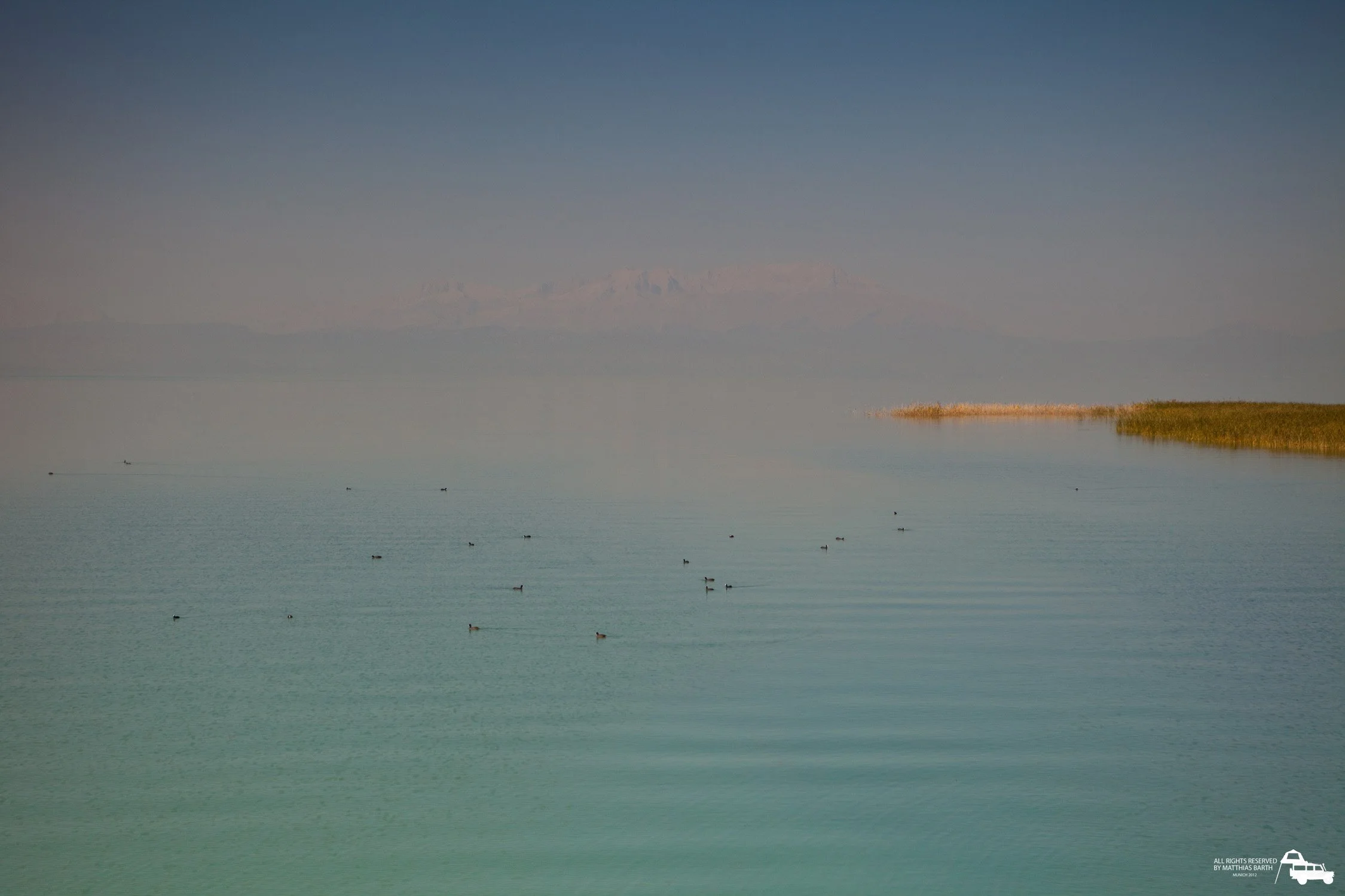 Ein ruhiger See mit mehreren Enten schwimmen, im Hintergrund Berge unter einem klaren blauen Himmel.