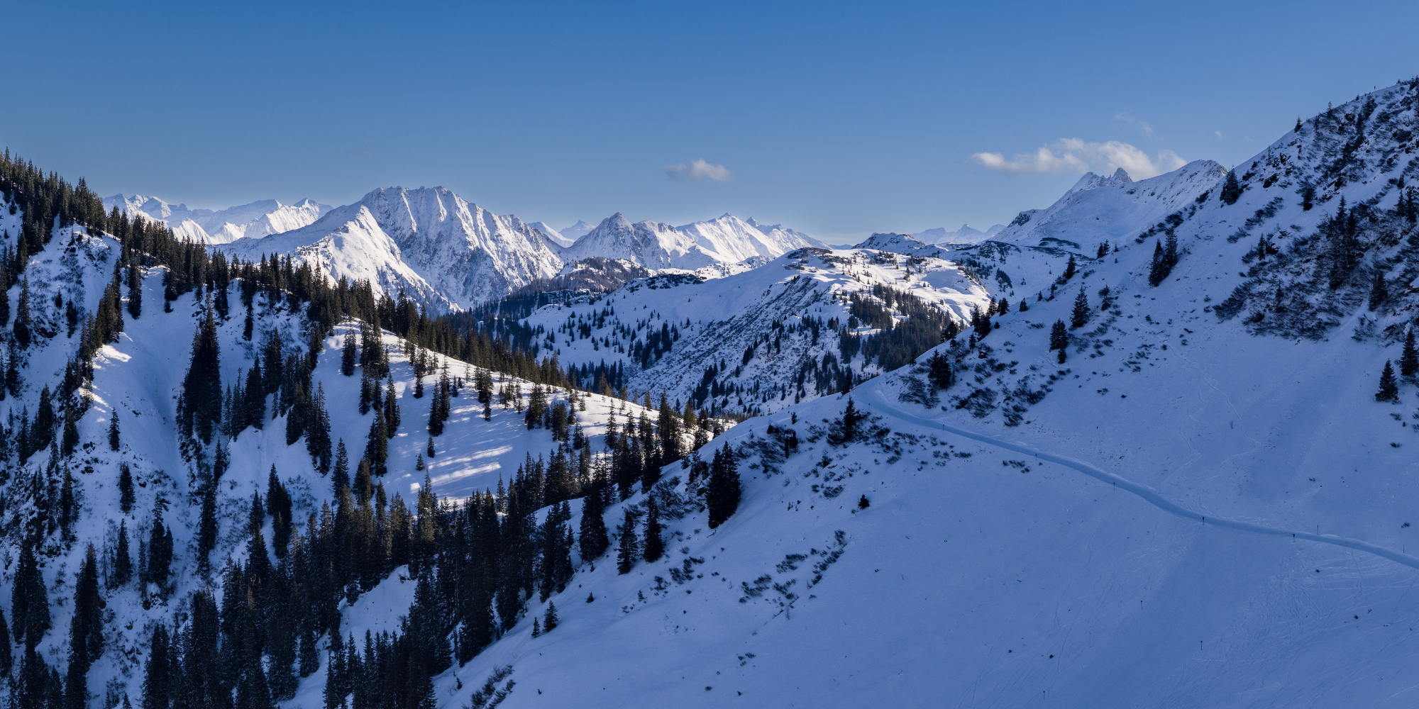 Berglandschaft mit schneebedeckten Gipfeln, Tannenbäumen und einem schmalen Weg im Schnee, bei klarem blauem Himmel.