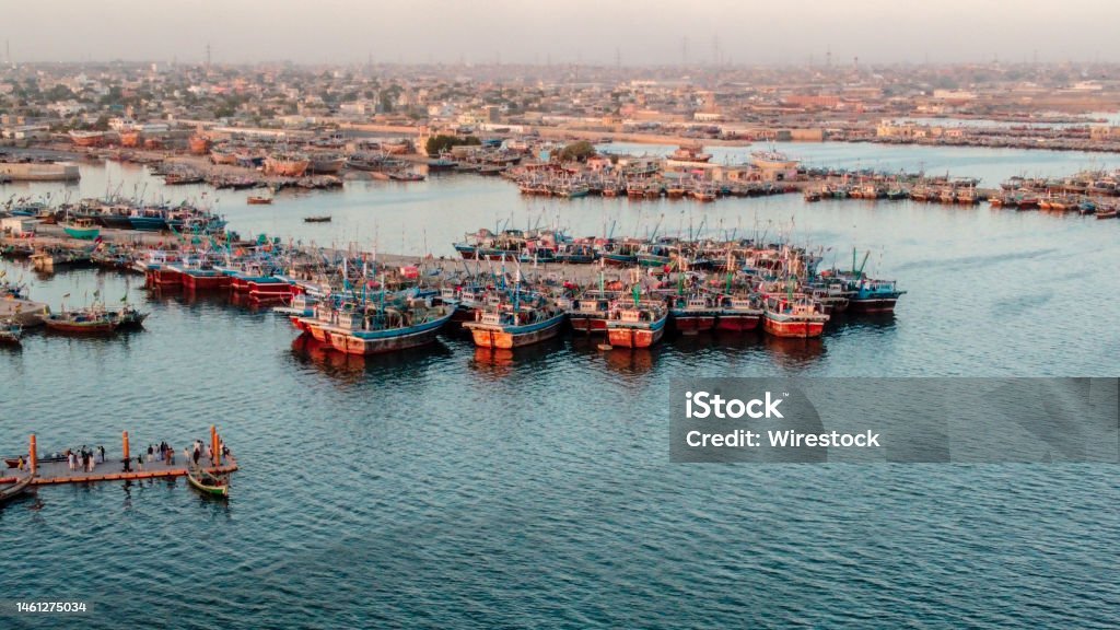 Rebound of Pakistan's Edible Oil Market Strengthens Prospects for Malaysian Palm Oil