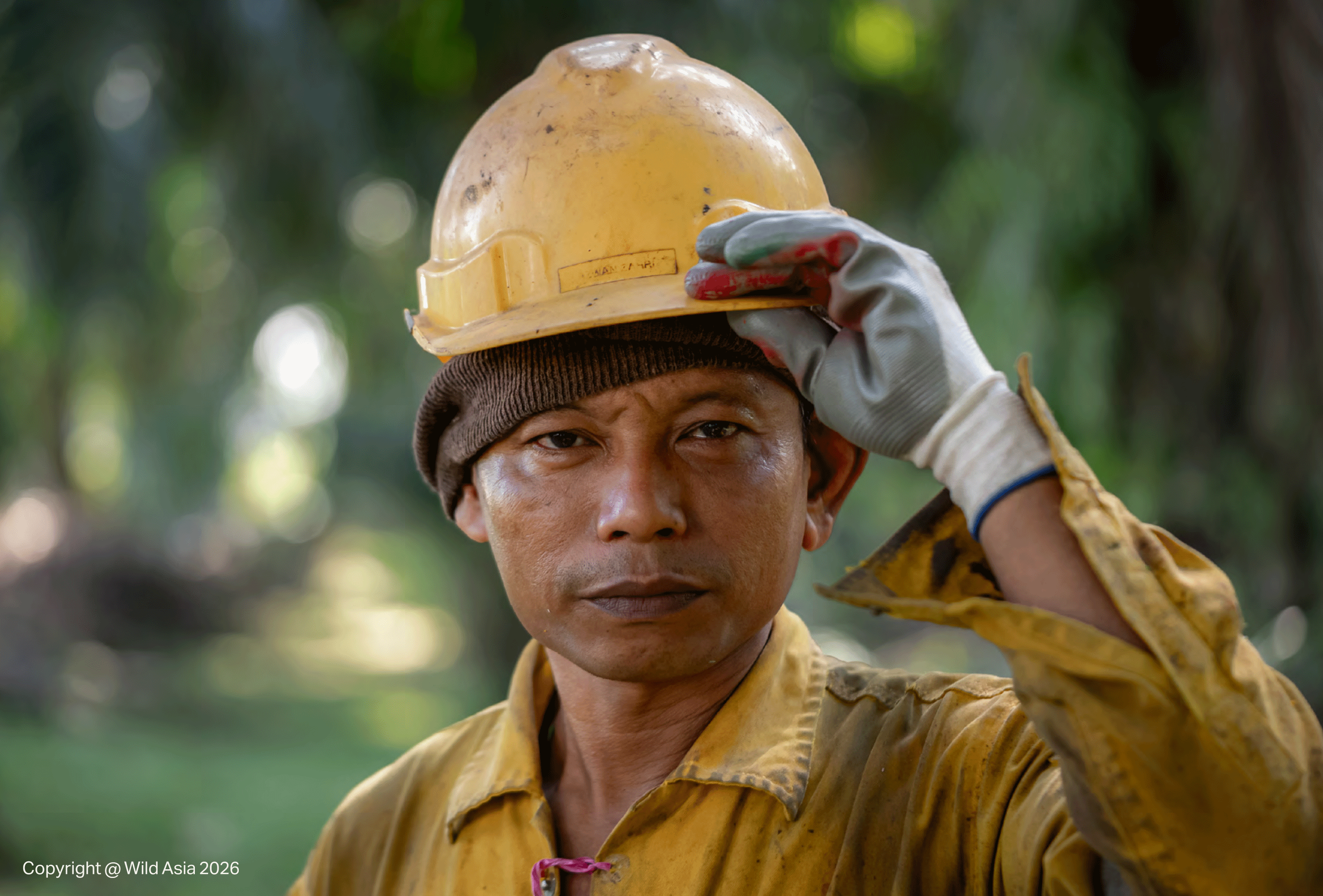 Earth Day Special: A Life Carved Between Wood and Oil Palm