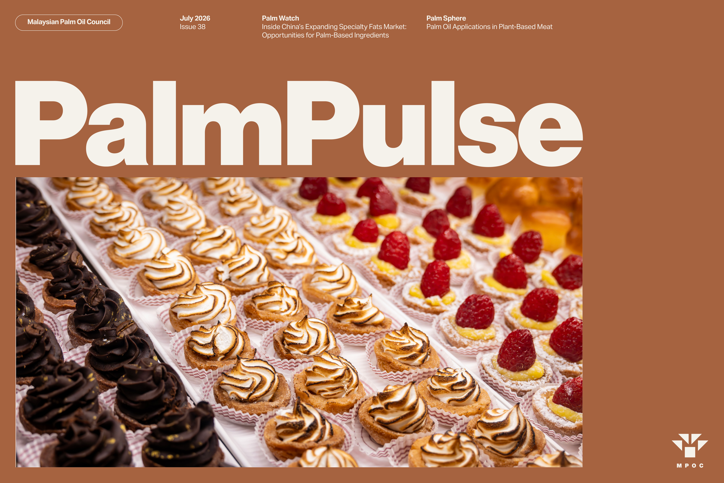 issue 38