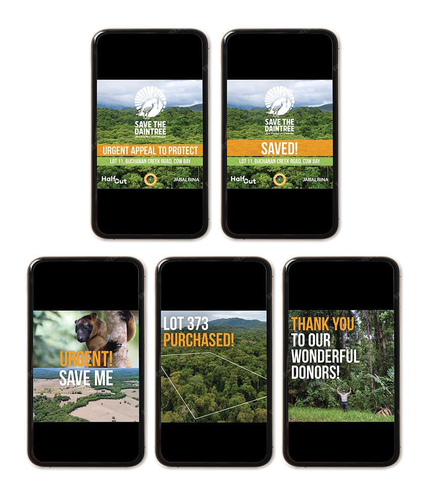 Rainforest Rangers Social Media