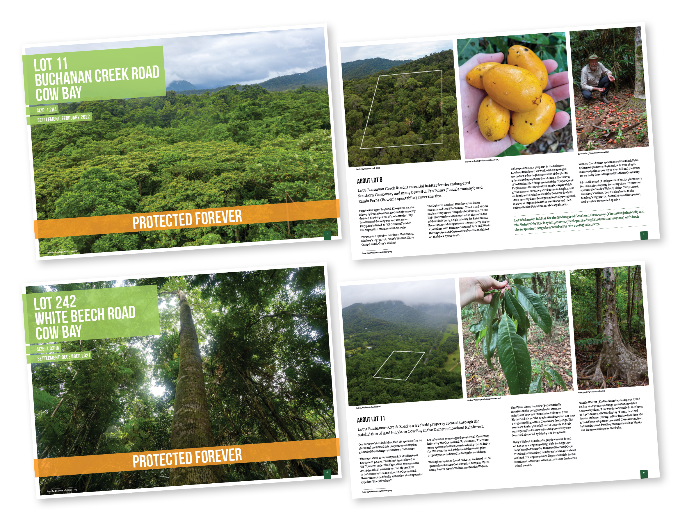 Rainforest Rangers 2pp Property Flyers Design