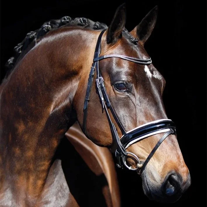 Equestrian Hub Magazine – print and digital