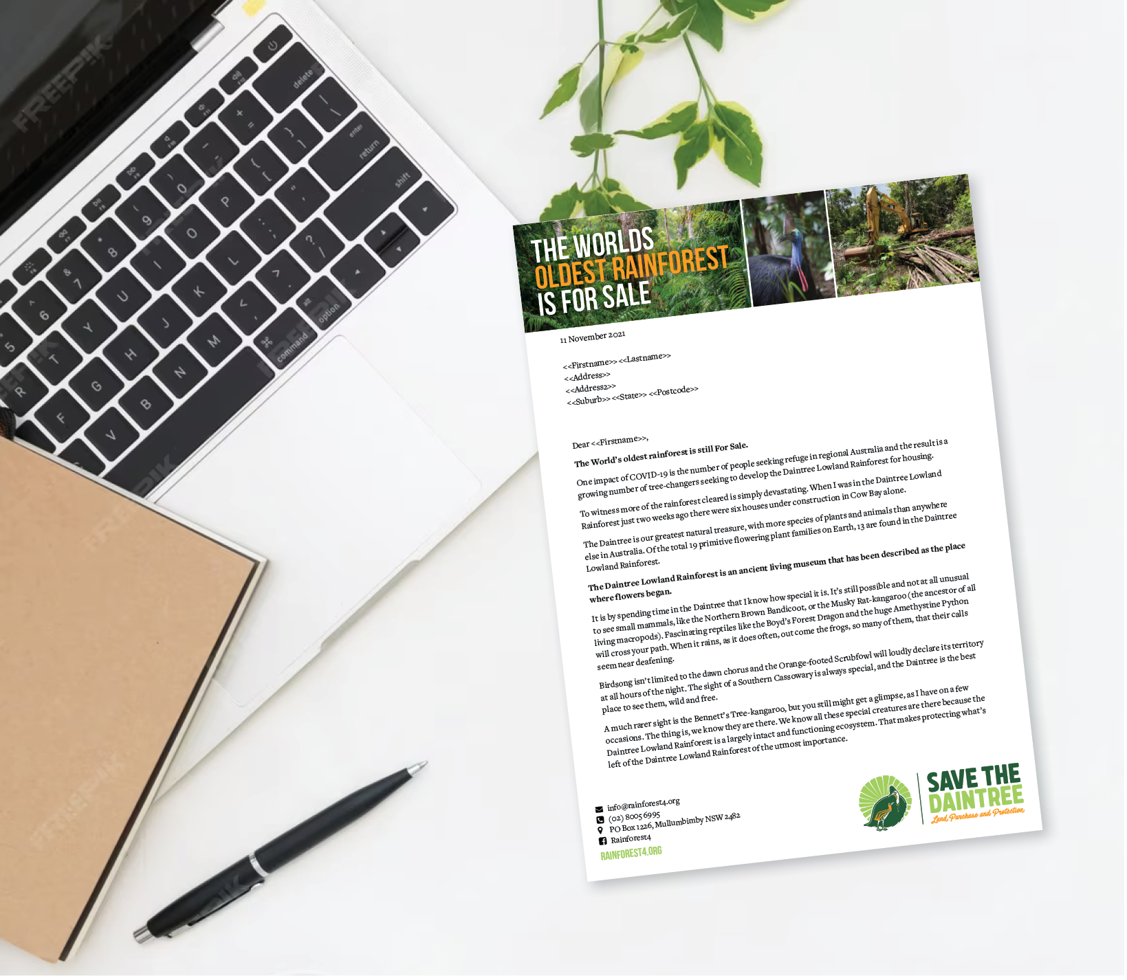 Rainforest Rangers – Letterhead and Appeal Letter