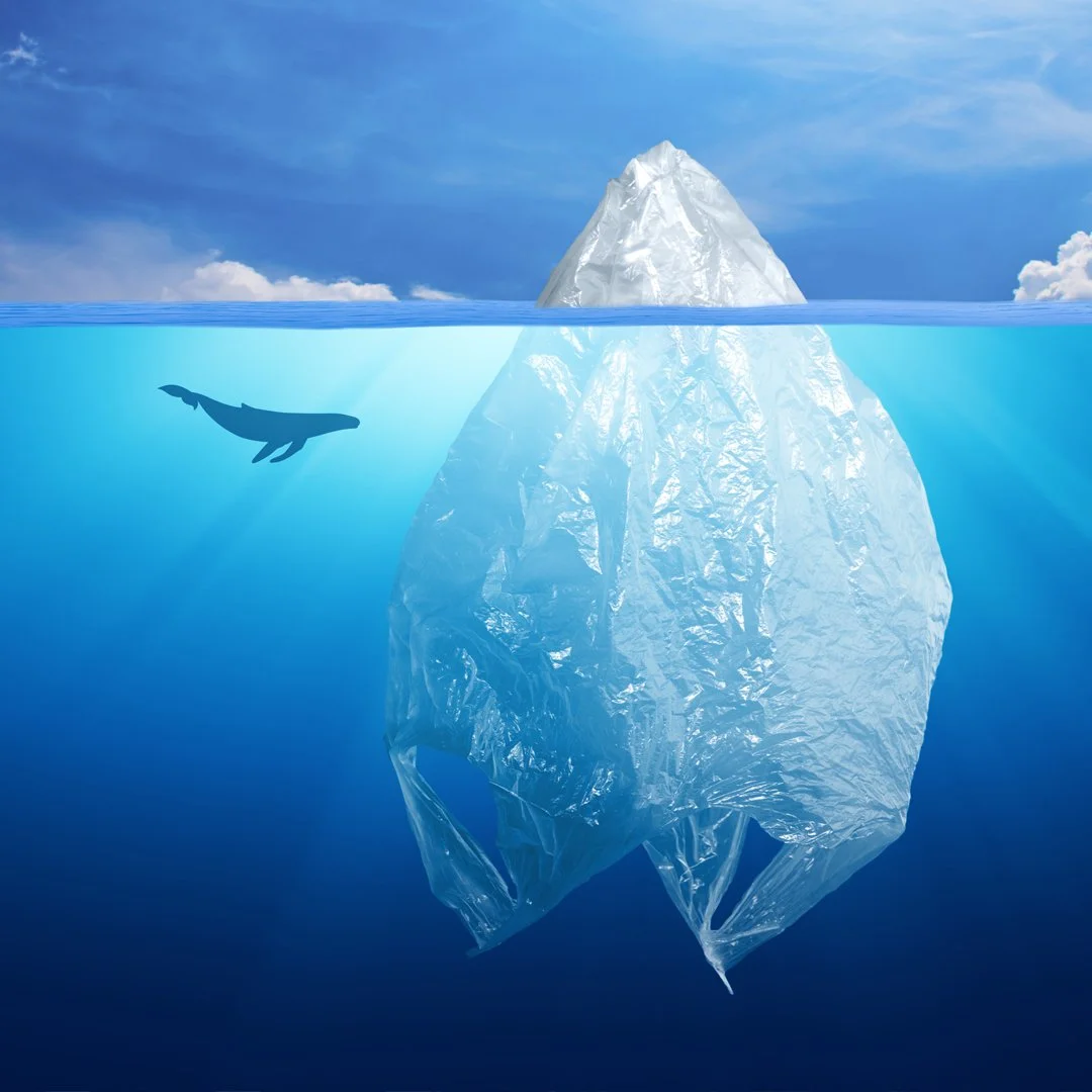 Love the Earth Beeswax Wraps