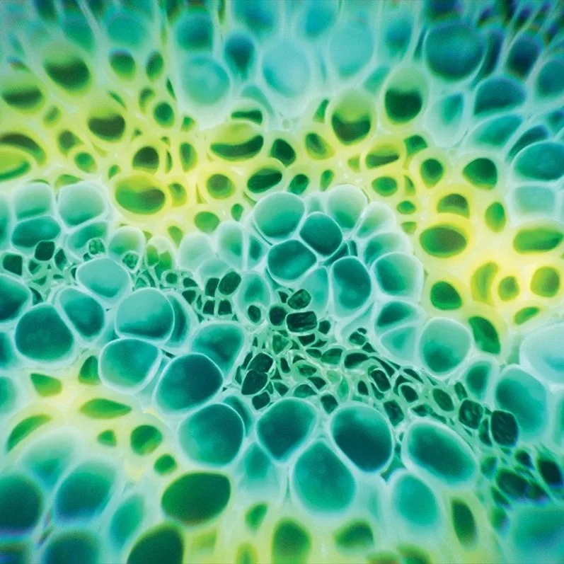 Exhibition Stands and Signage