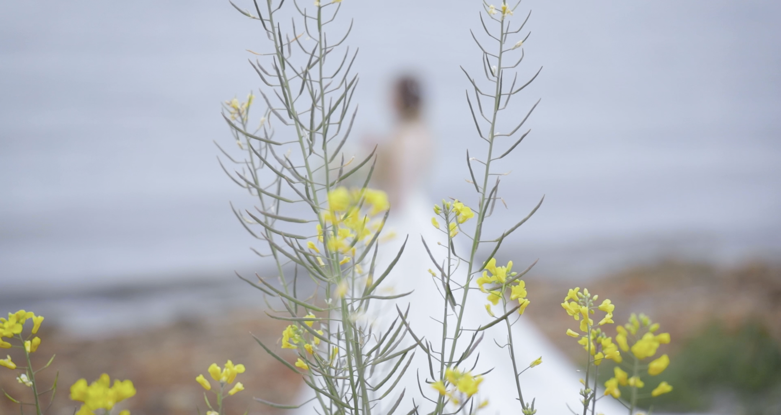 A woman in a white dress standing near a body of water with yellow flowers in the foreground, blurred background with water and shoreline.