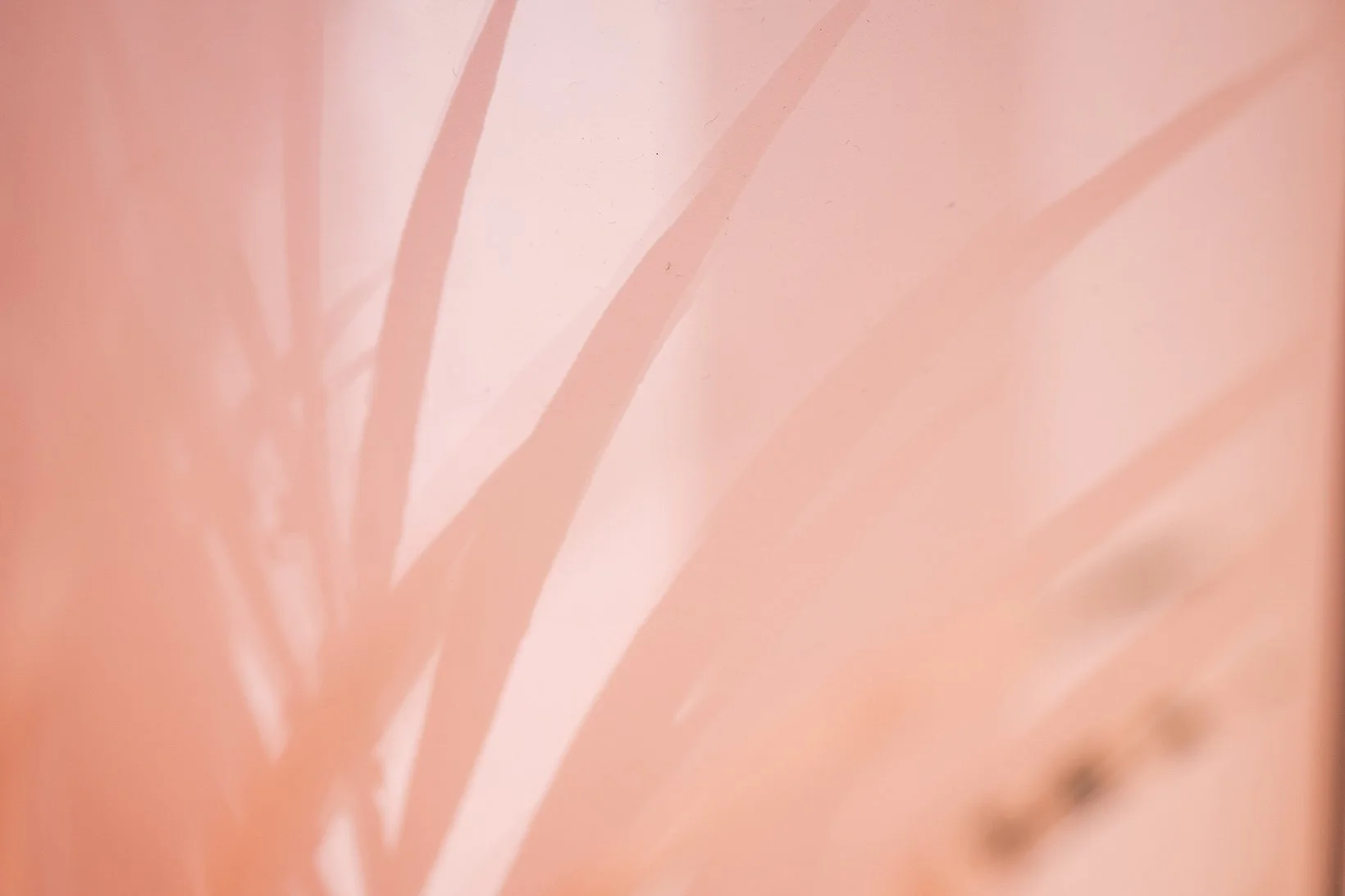 Close-up of a pinkish-orange abstract background with soft, blurred streaks and subtle shading.
