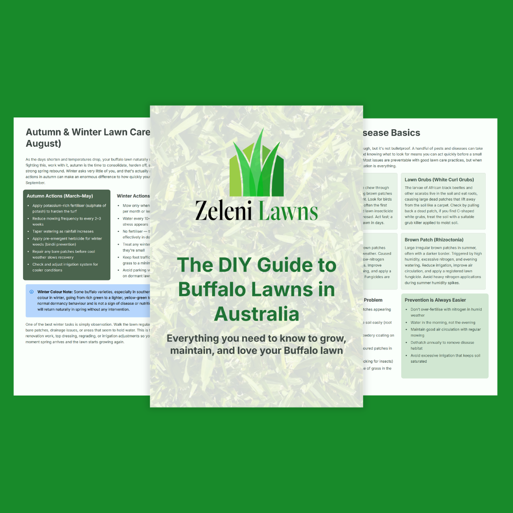 The DIY Guide to Buffalo Lawns in Australia