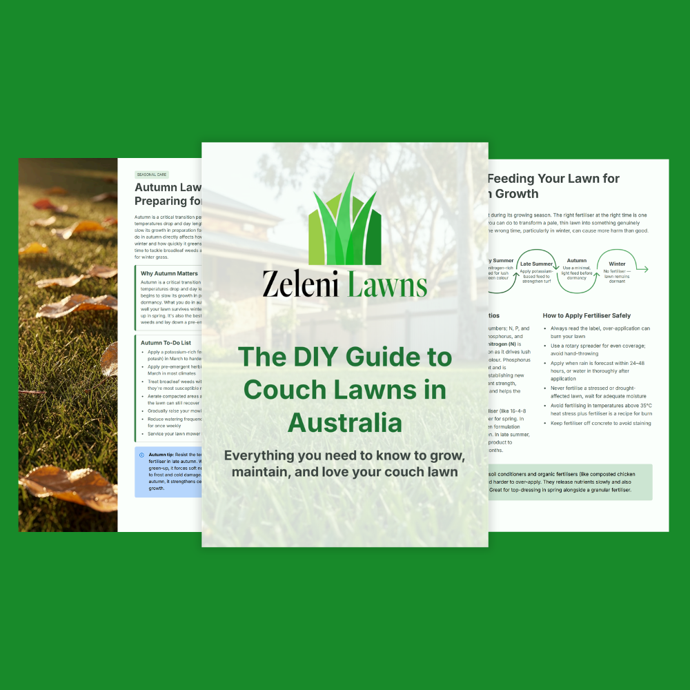 The DIY Guide to Couch Lawns in Australia