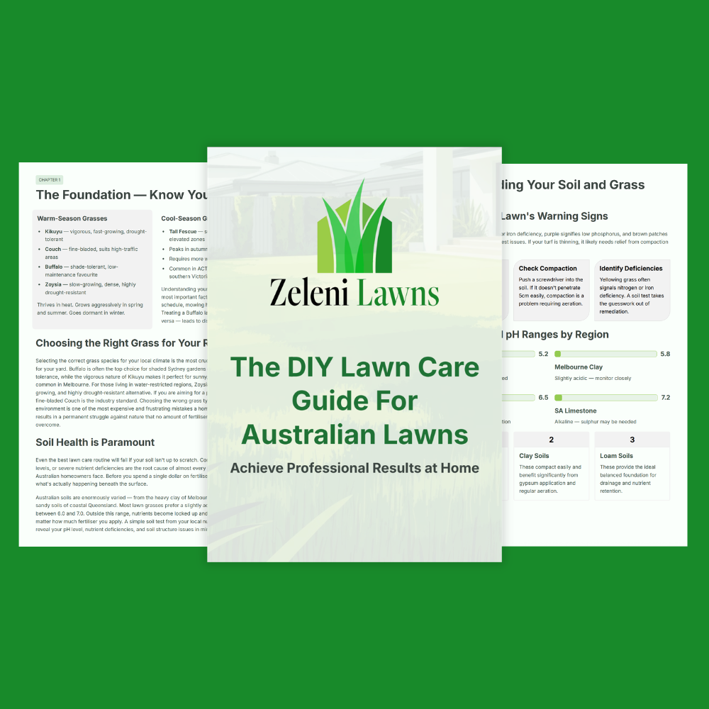 The DIY Lawn Care Guide For Australian Lawns