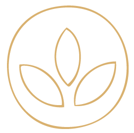 Ein minimalistisches, goldfarbenes Lotus-Design in einem Kreis.