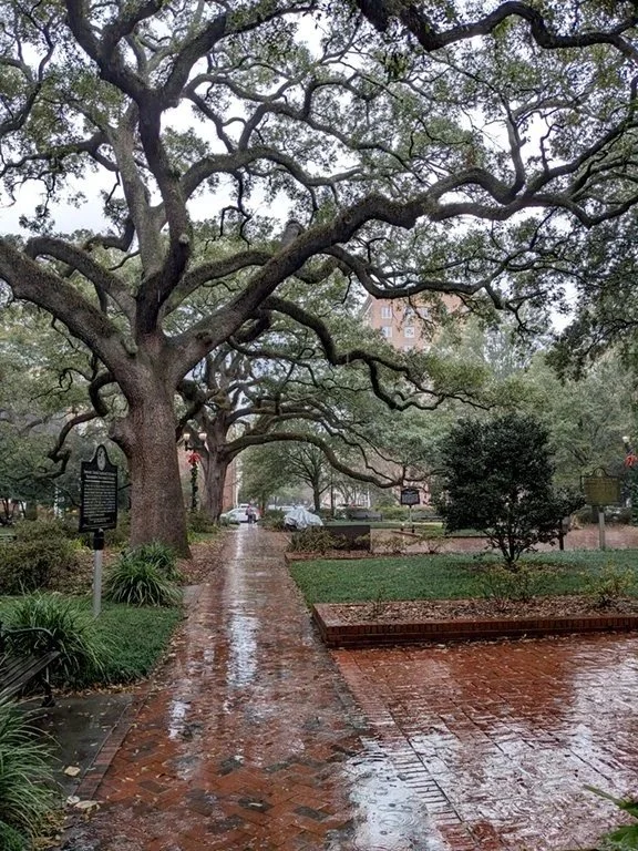 Savannah Retreat &amp; How to Change