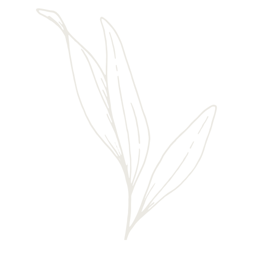Line drawing of a simple plant with three elongated leaves on a black background.