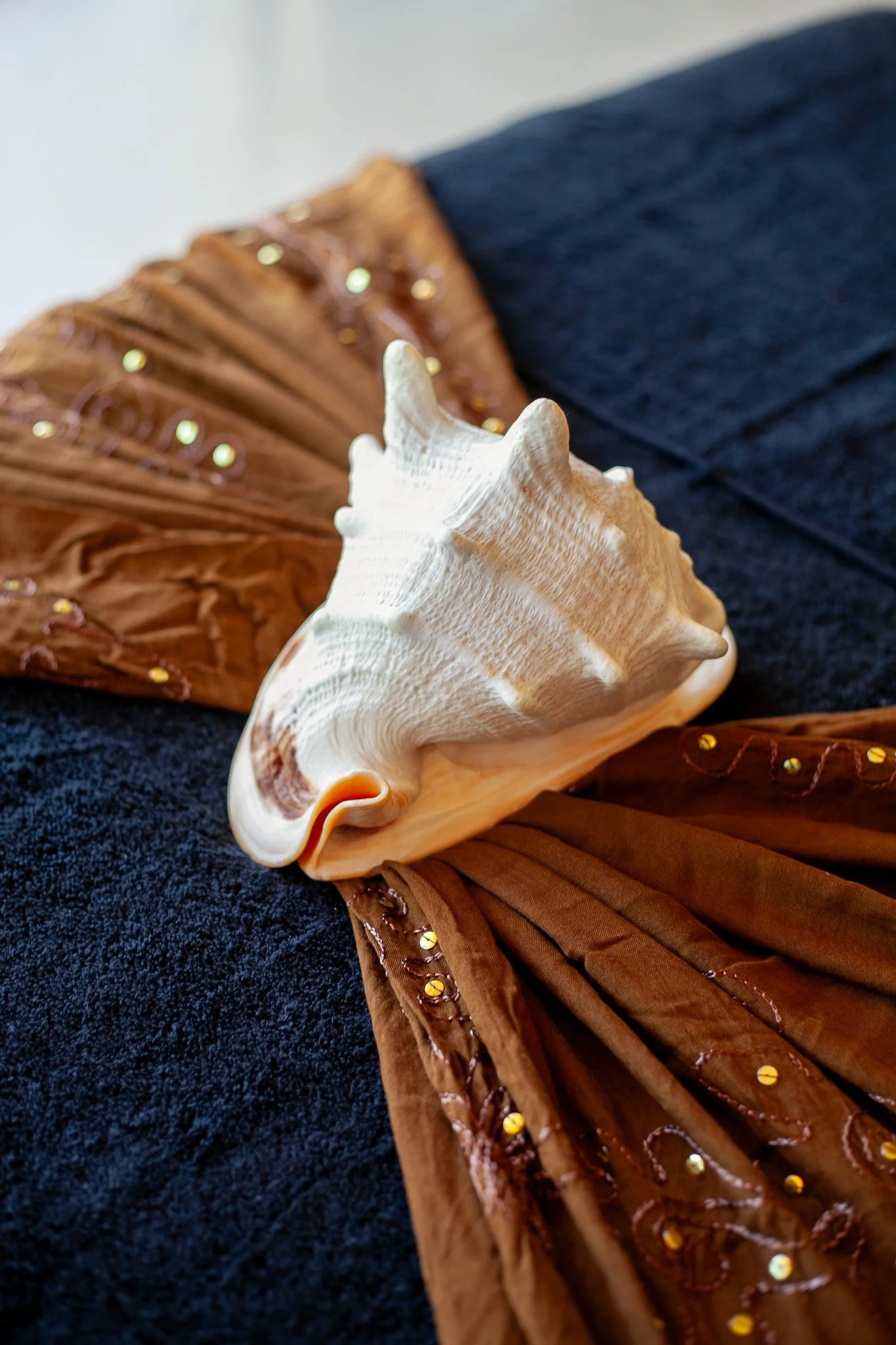 Close-up of a large white seashell placed on a dark fabric with a brown decorative cloth that has sequins and embroidery, possibly part of a costume or decoration.