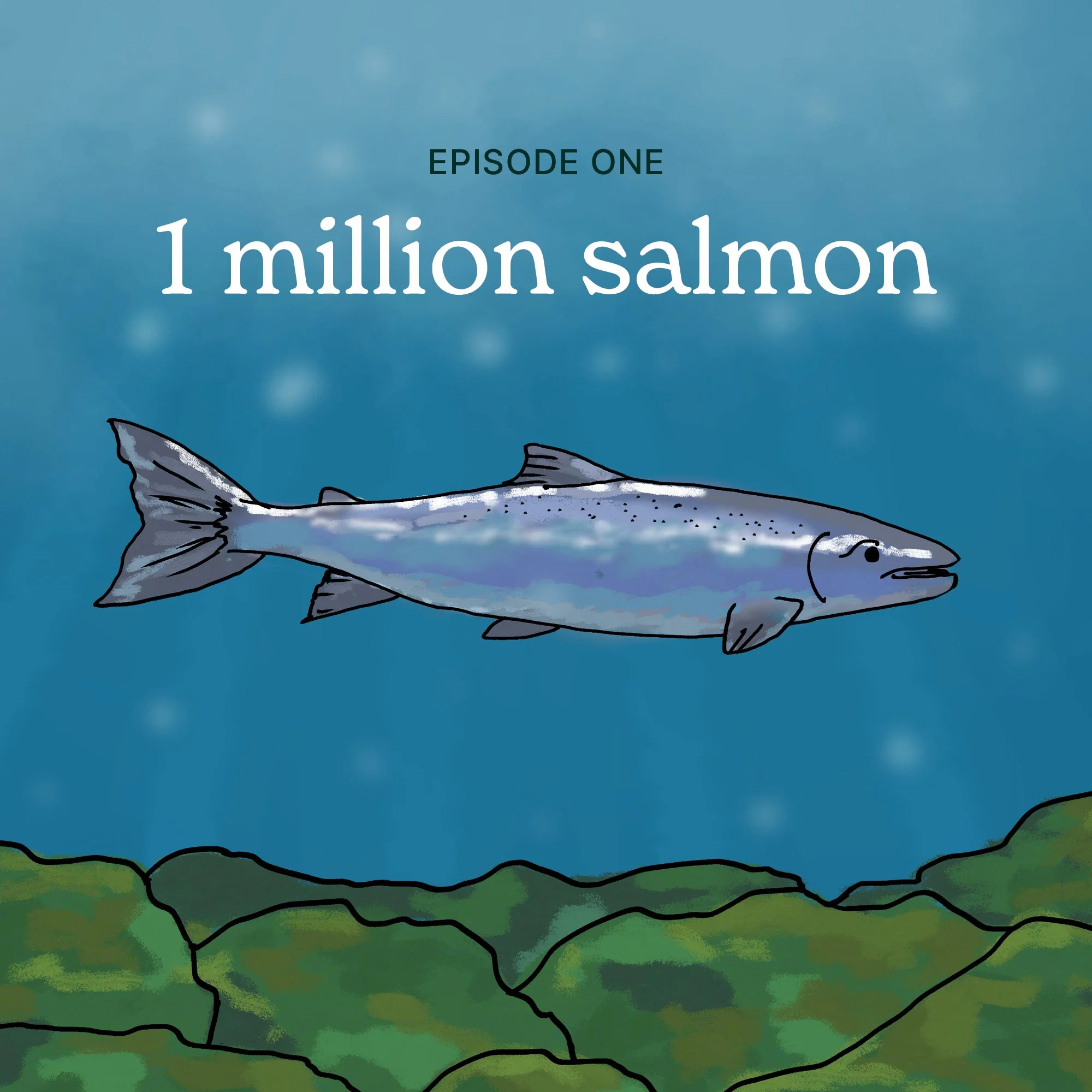 Season 2, Episode 1: One Million Salmon