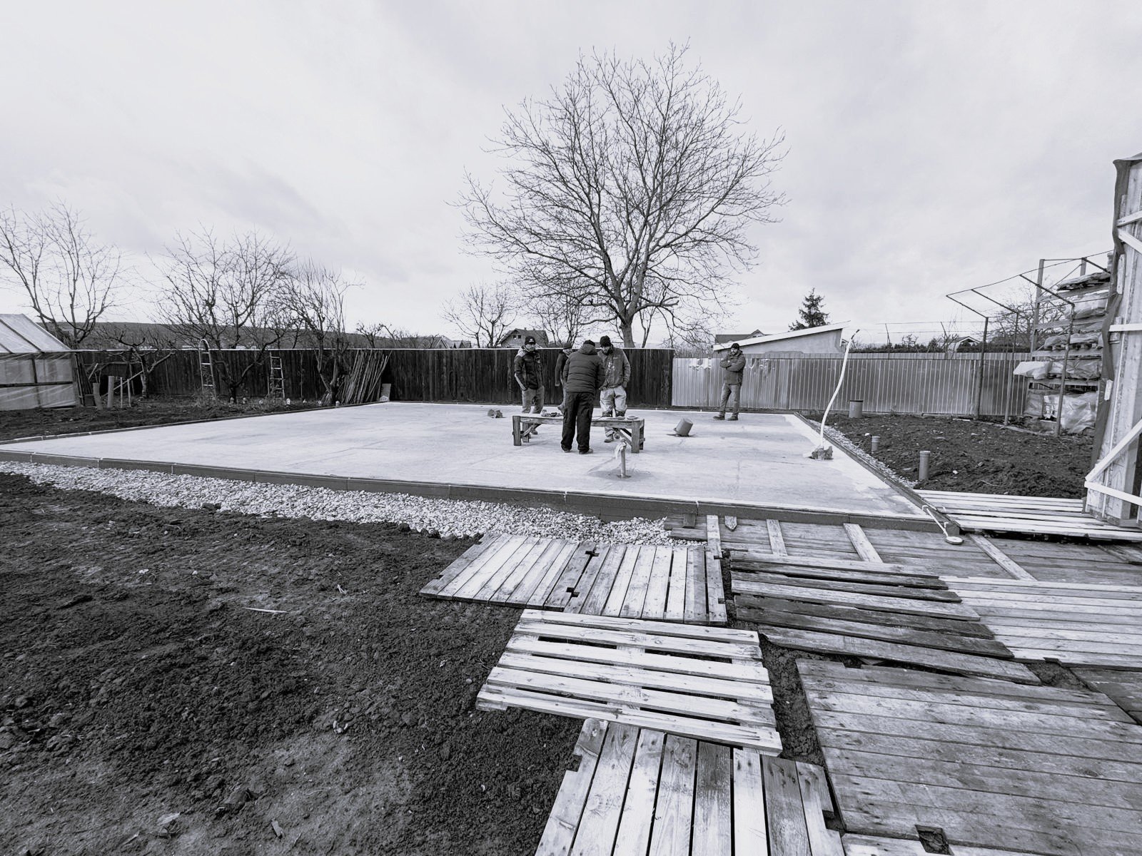 Construction workers working on a concrete foundation in a backyard, with a large tree and fences in the background, and wooden walkways in the foreground.