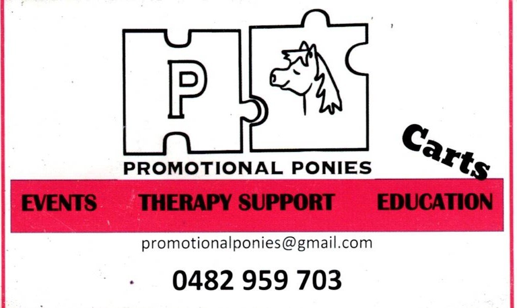 Promotional Ponies - Di Bailey