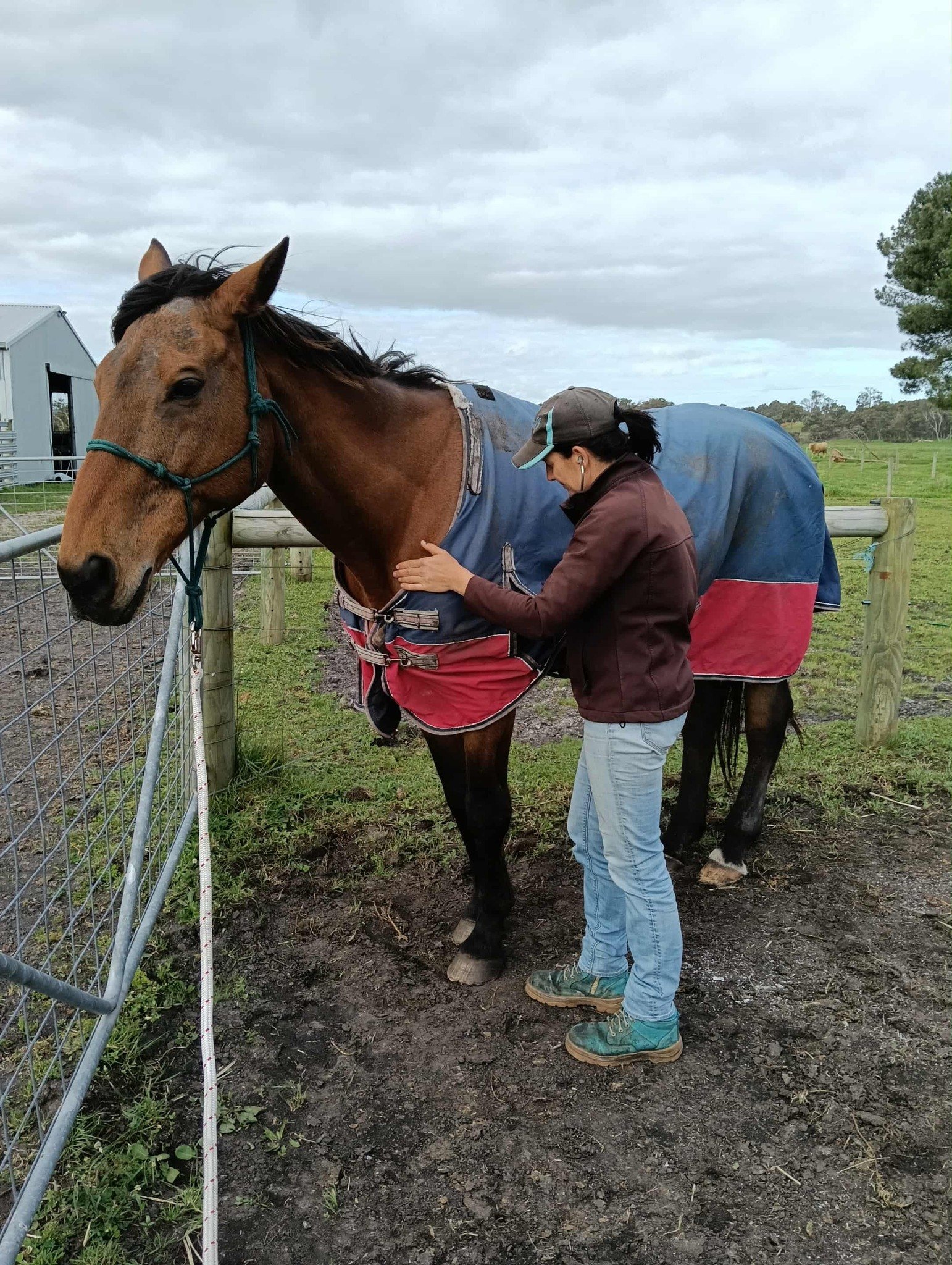 Wendy - Great Southern Equine Veterinarian