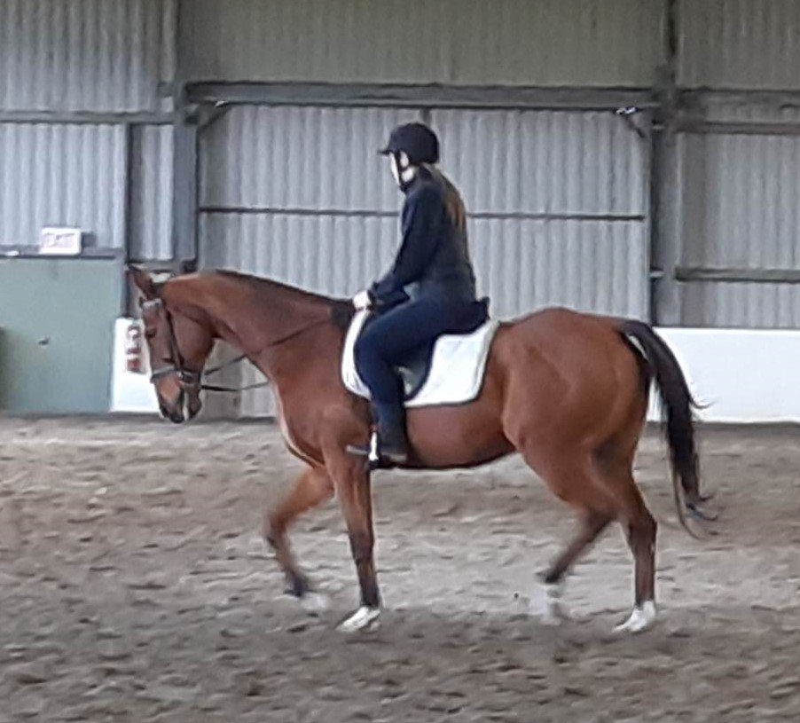 pony club first ride.jpg